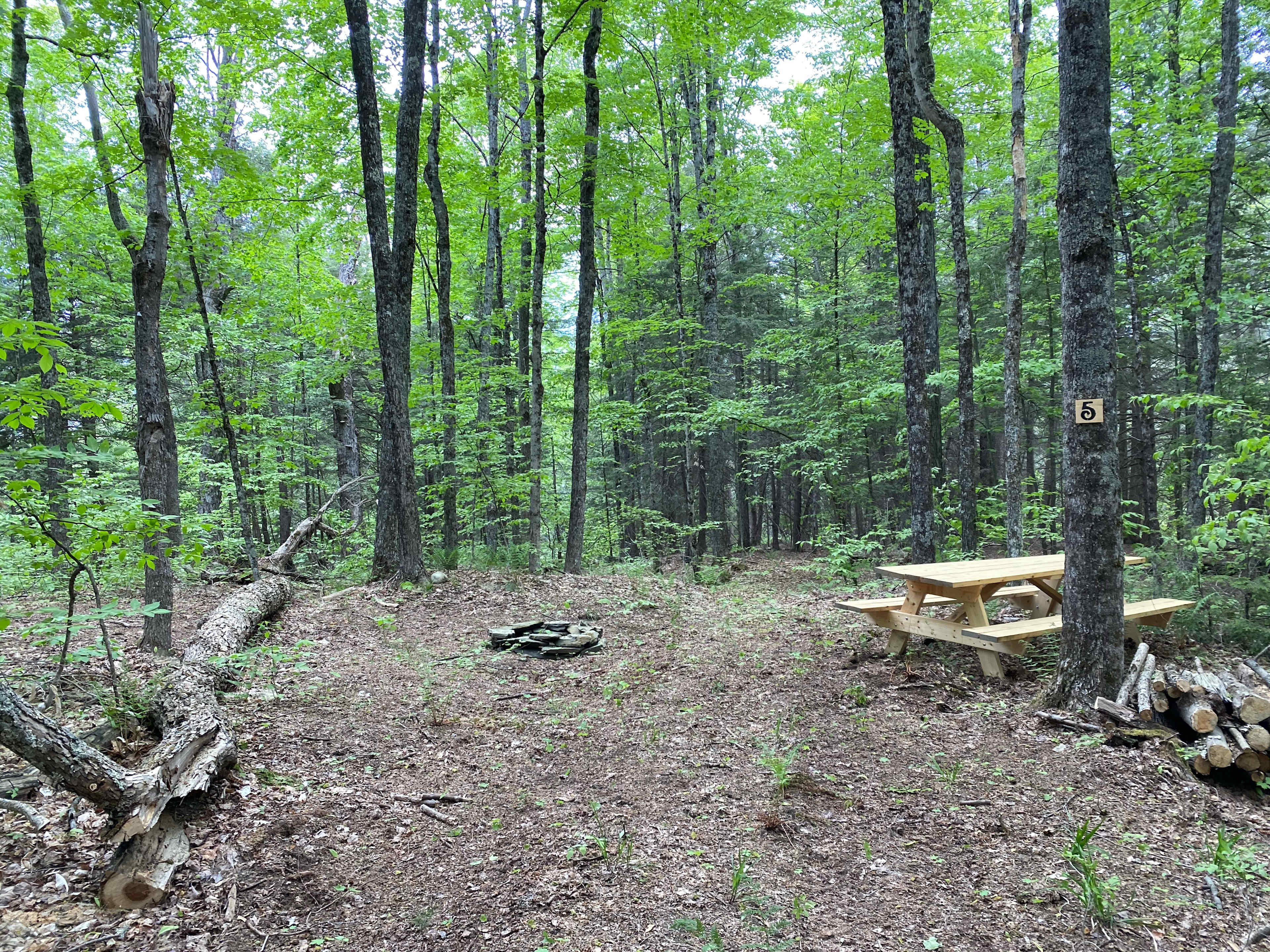 Site 5 fire ring, picnic table and log for sitting!