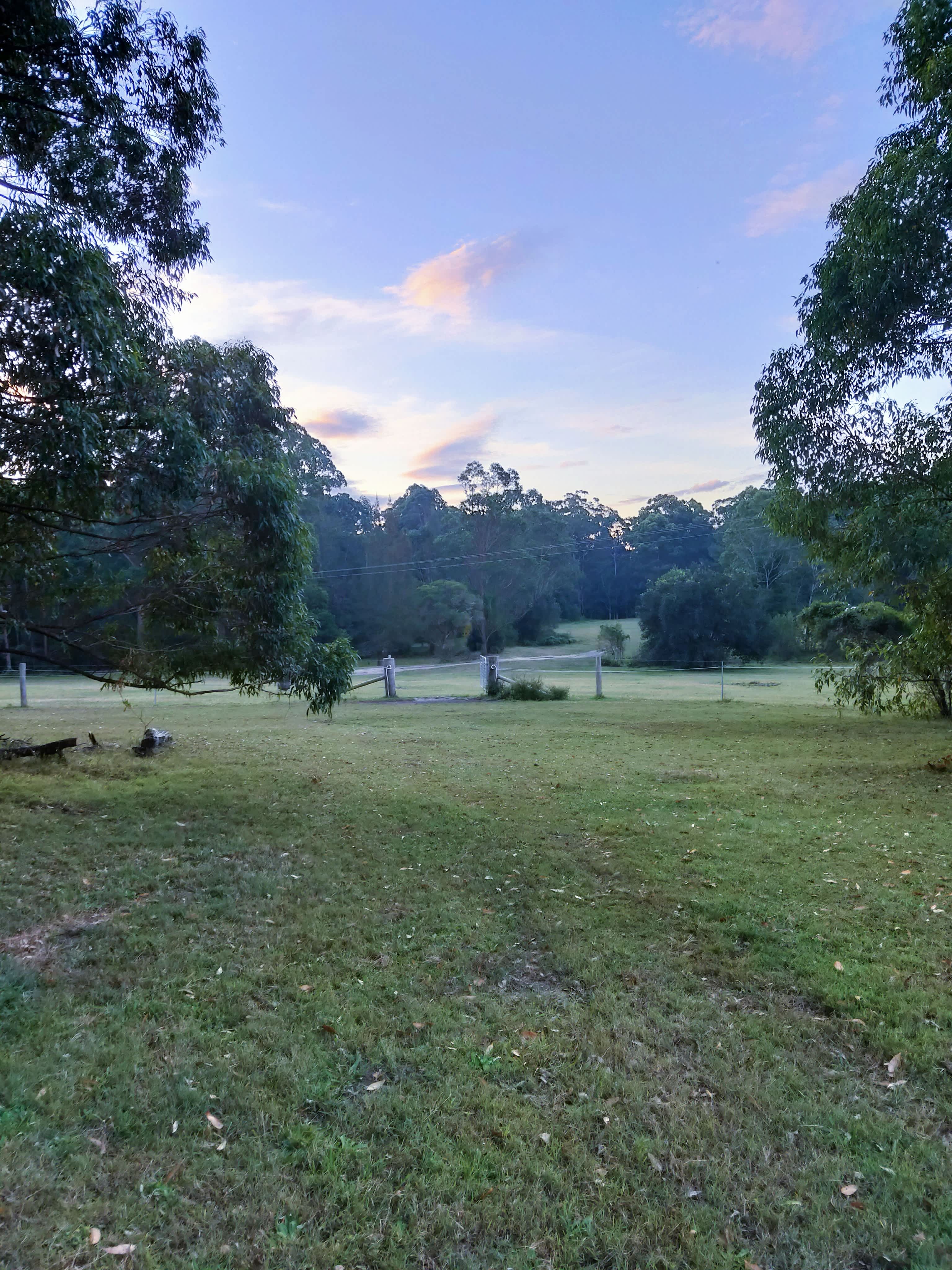 Bunyip's Camp