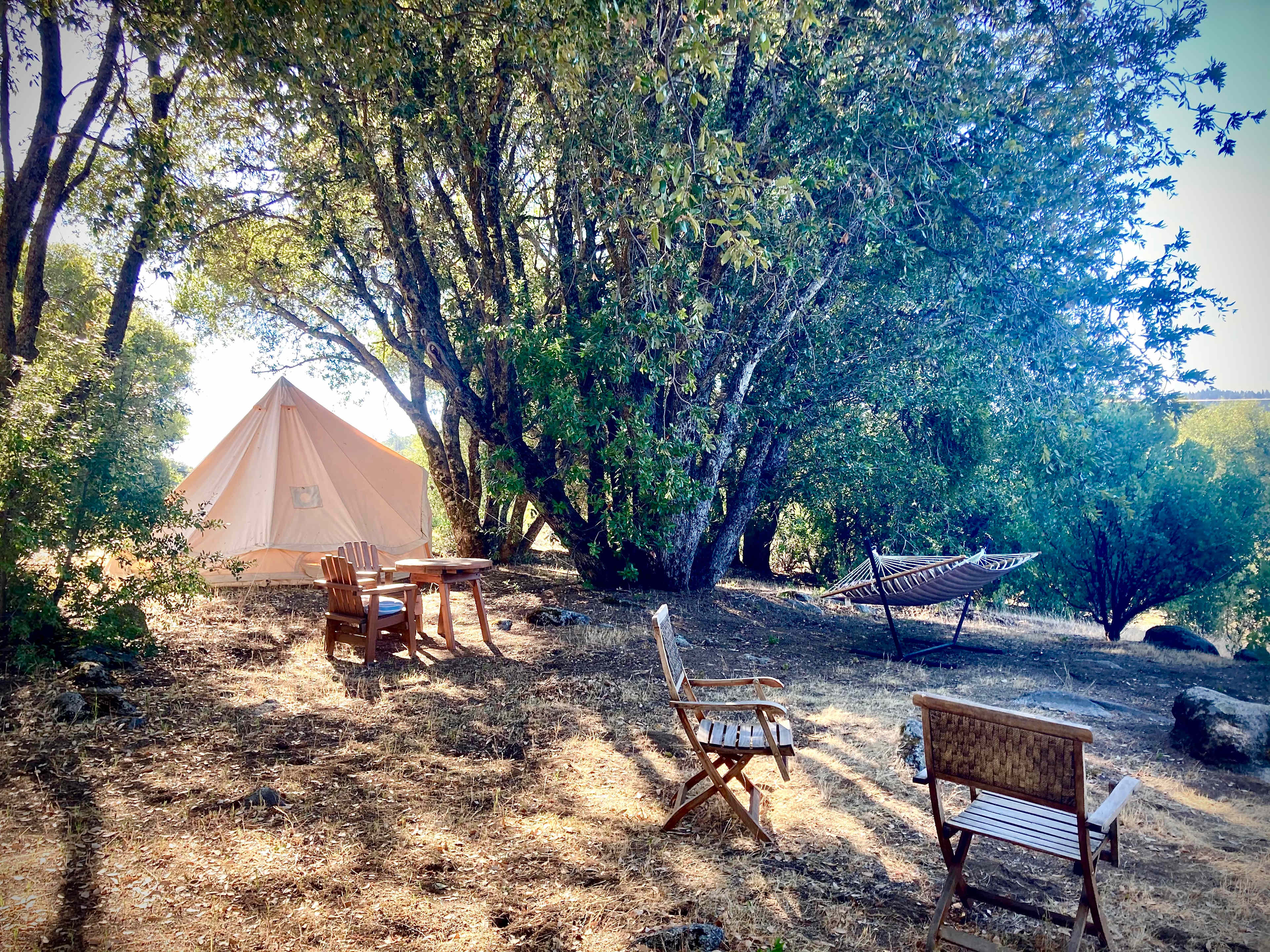 Camp 🏕 Gold Dust Vineyard