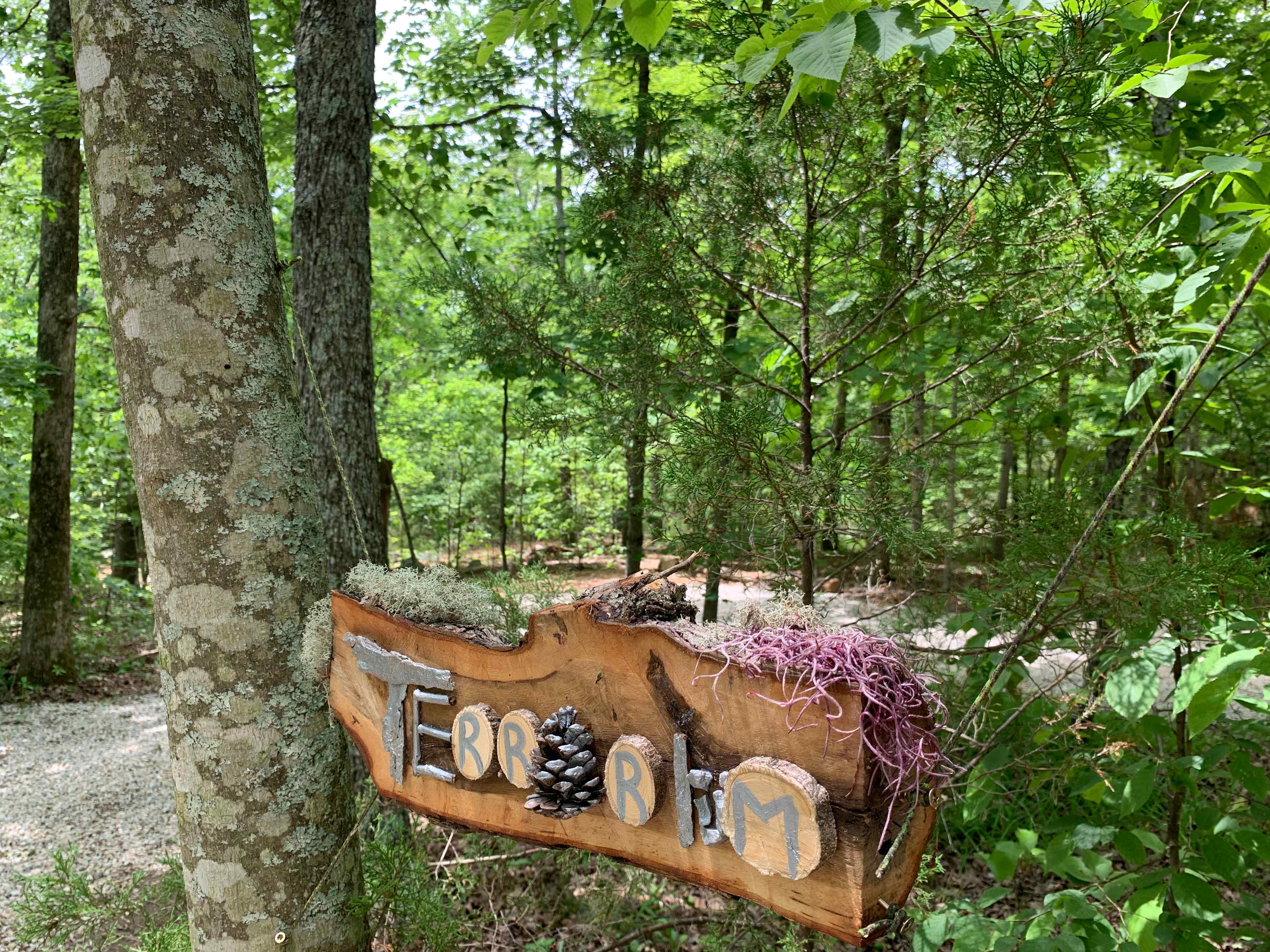 Arcadia Valley Outdoors Land