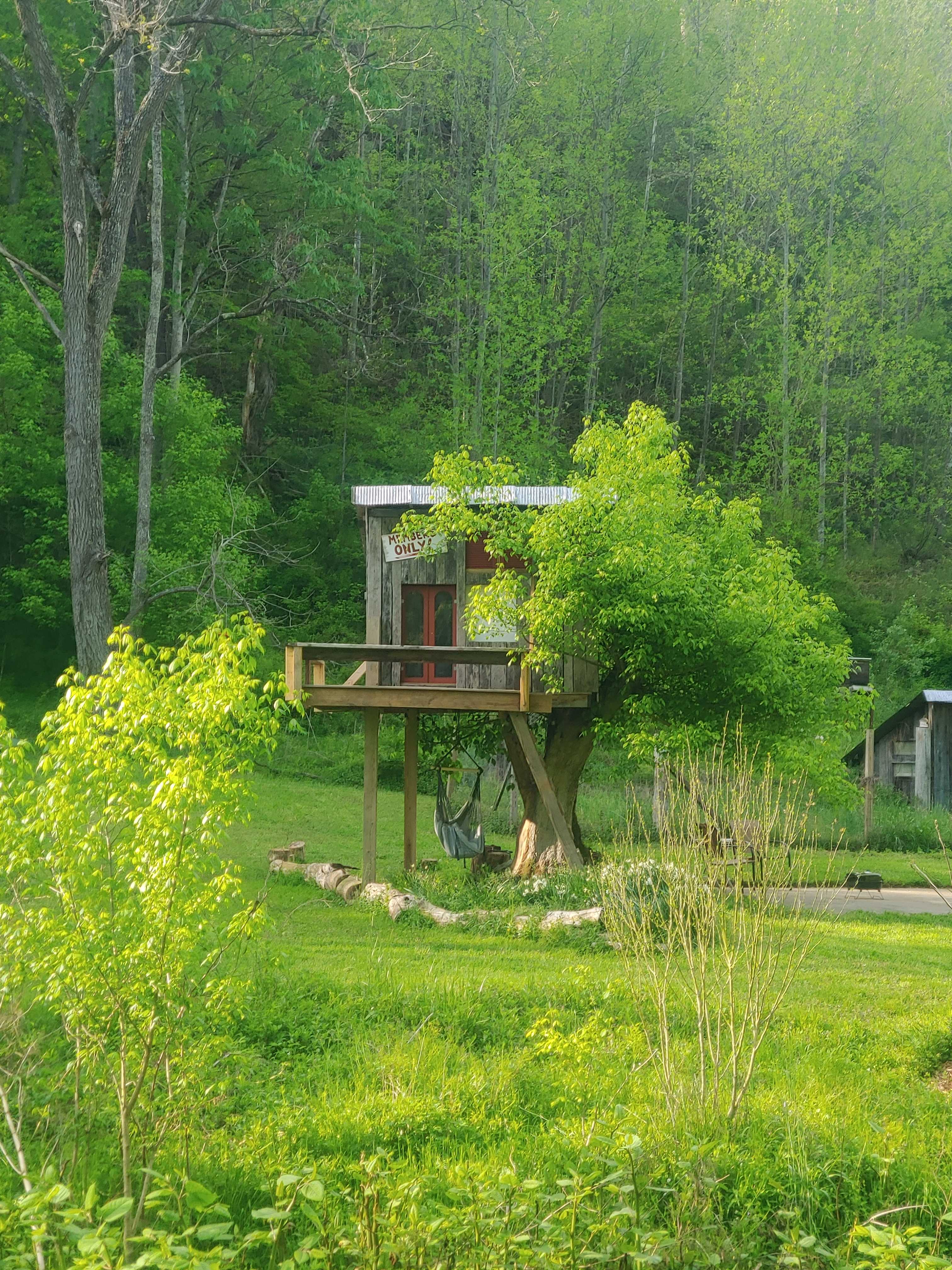 5 Leaf Farm