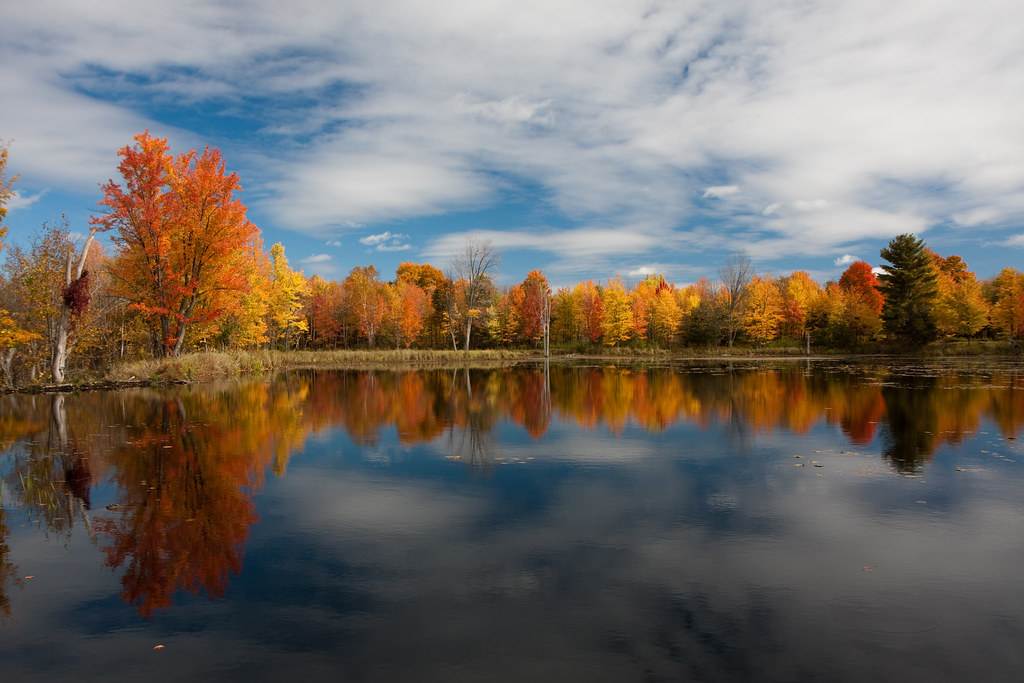 Murphys Point Provincial Park
