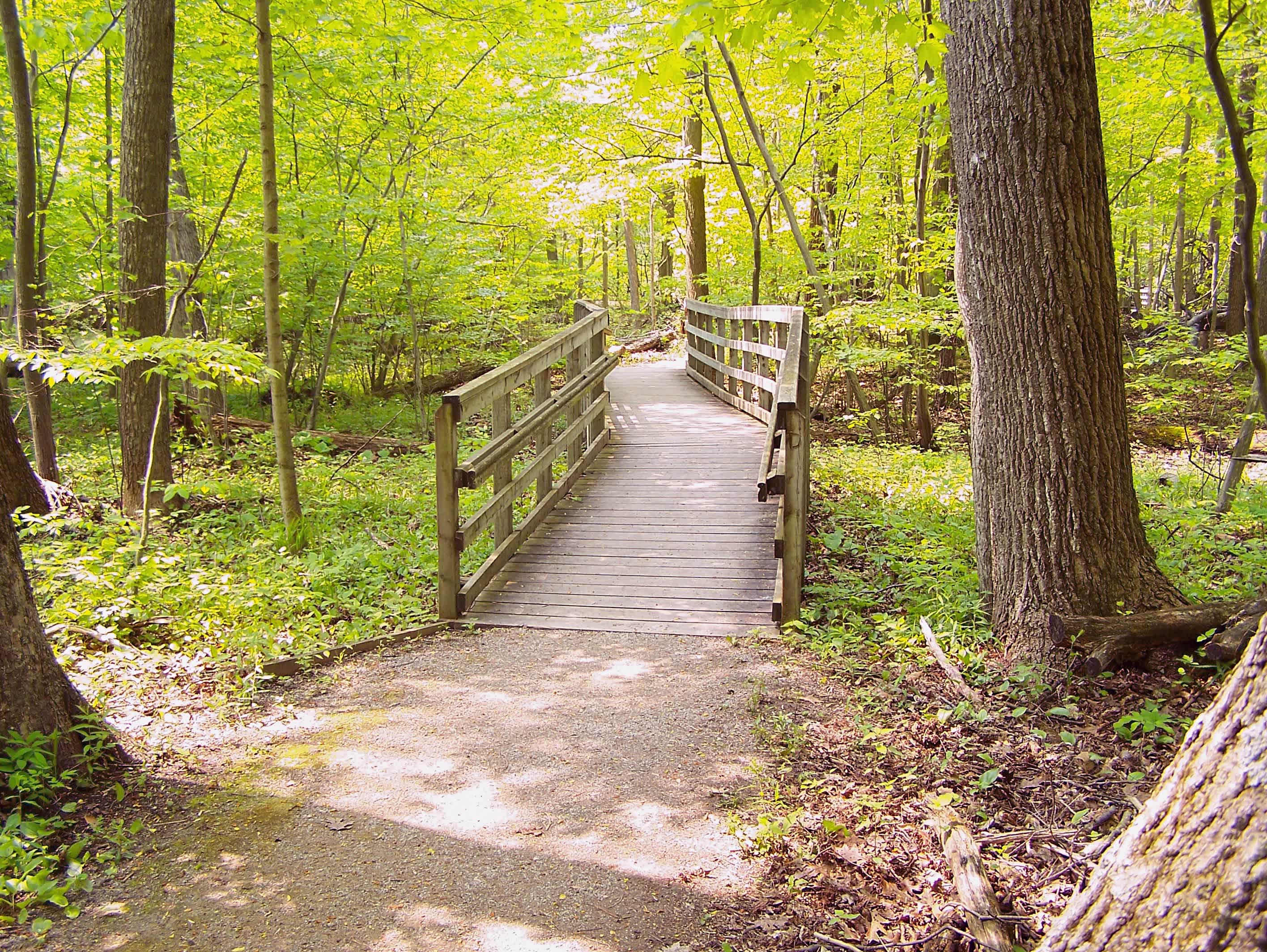 Rondeau Provincial Park