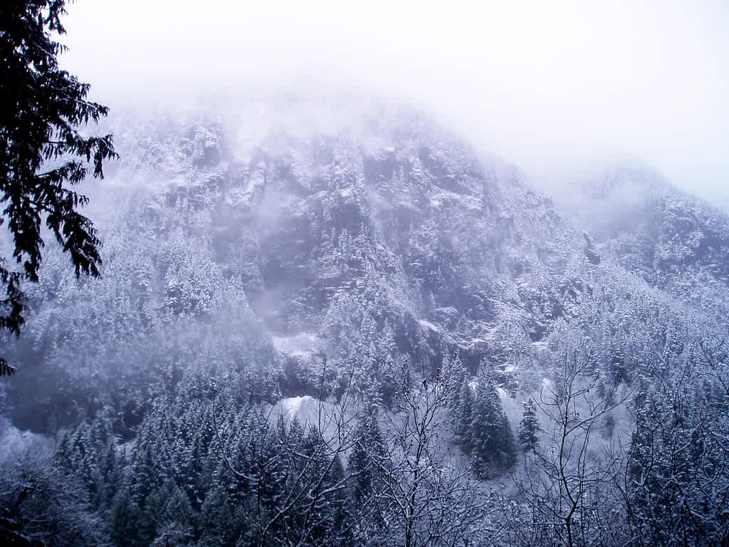 Skagit Valley Provincial Park