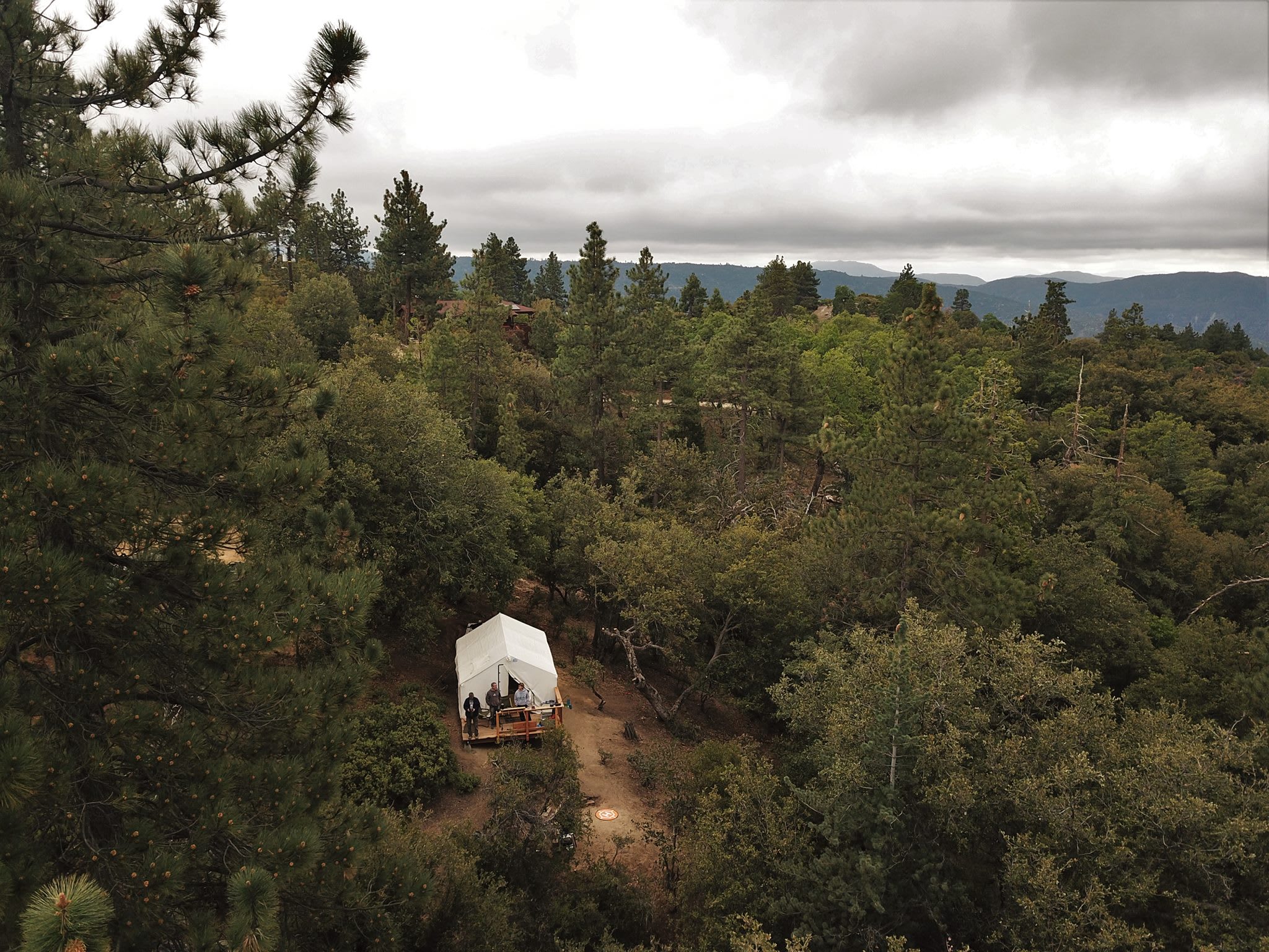 Serene forest privacy for 4WD