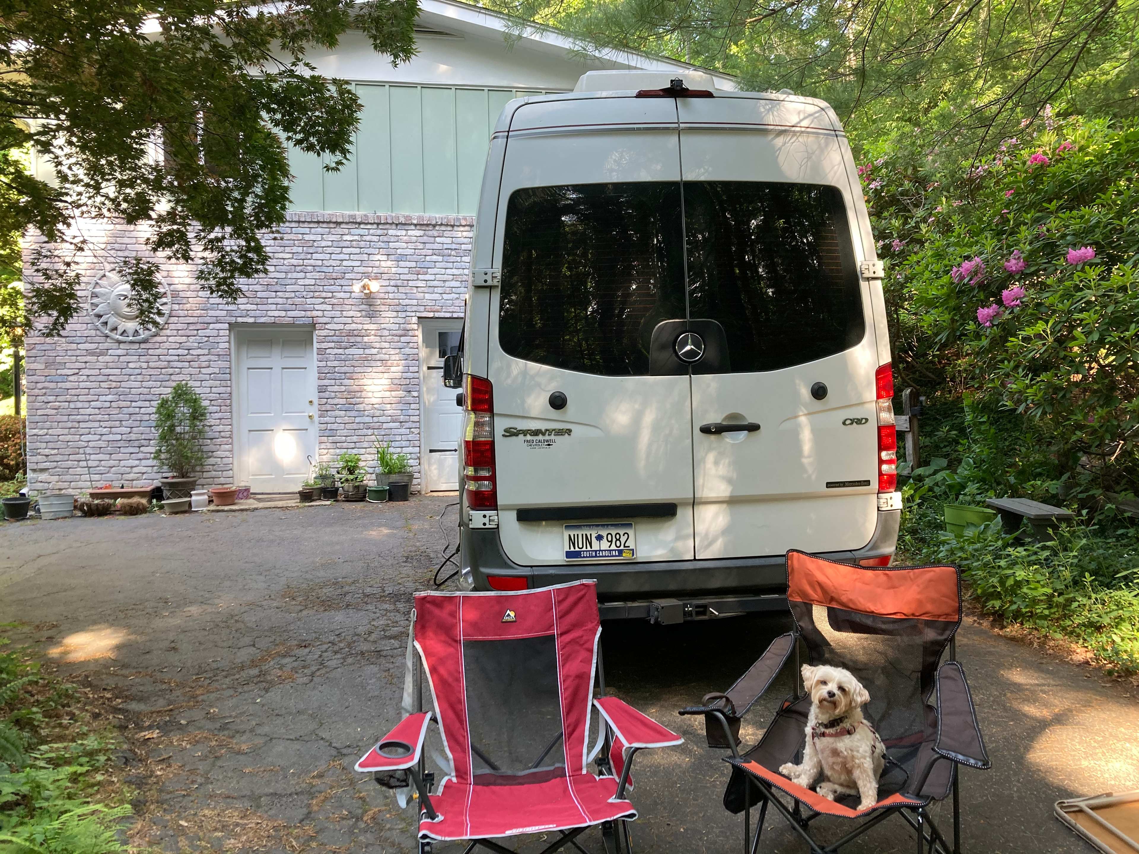Teddy loves sitting in chairs