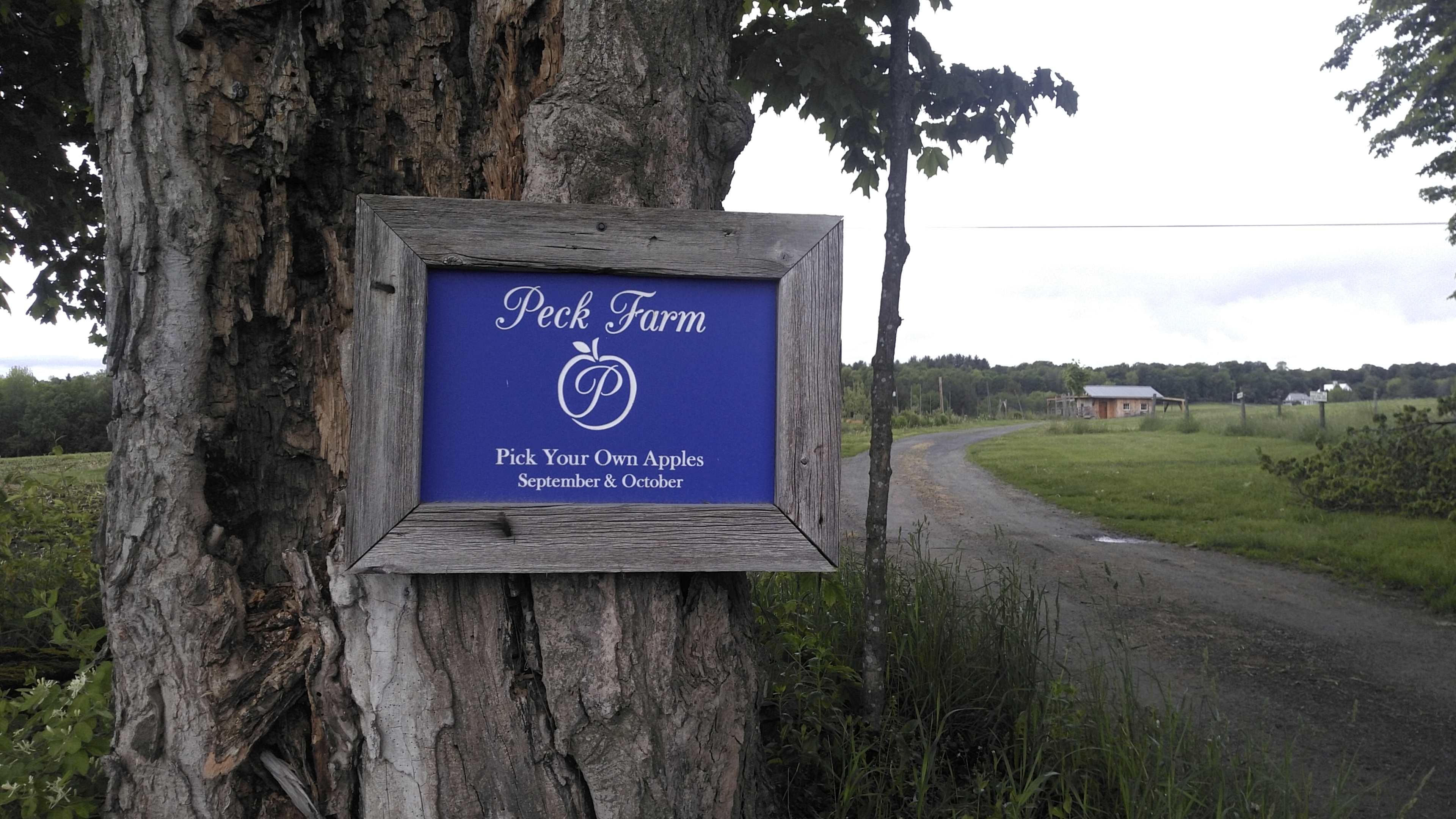 Peck Farm Orchard Pond