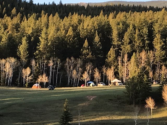 Waking up with the early morning sun shine at the Backwoods site.
