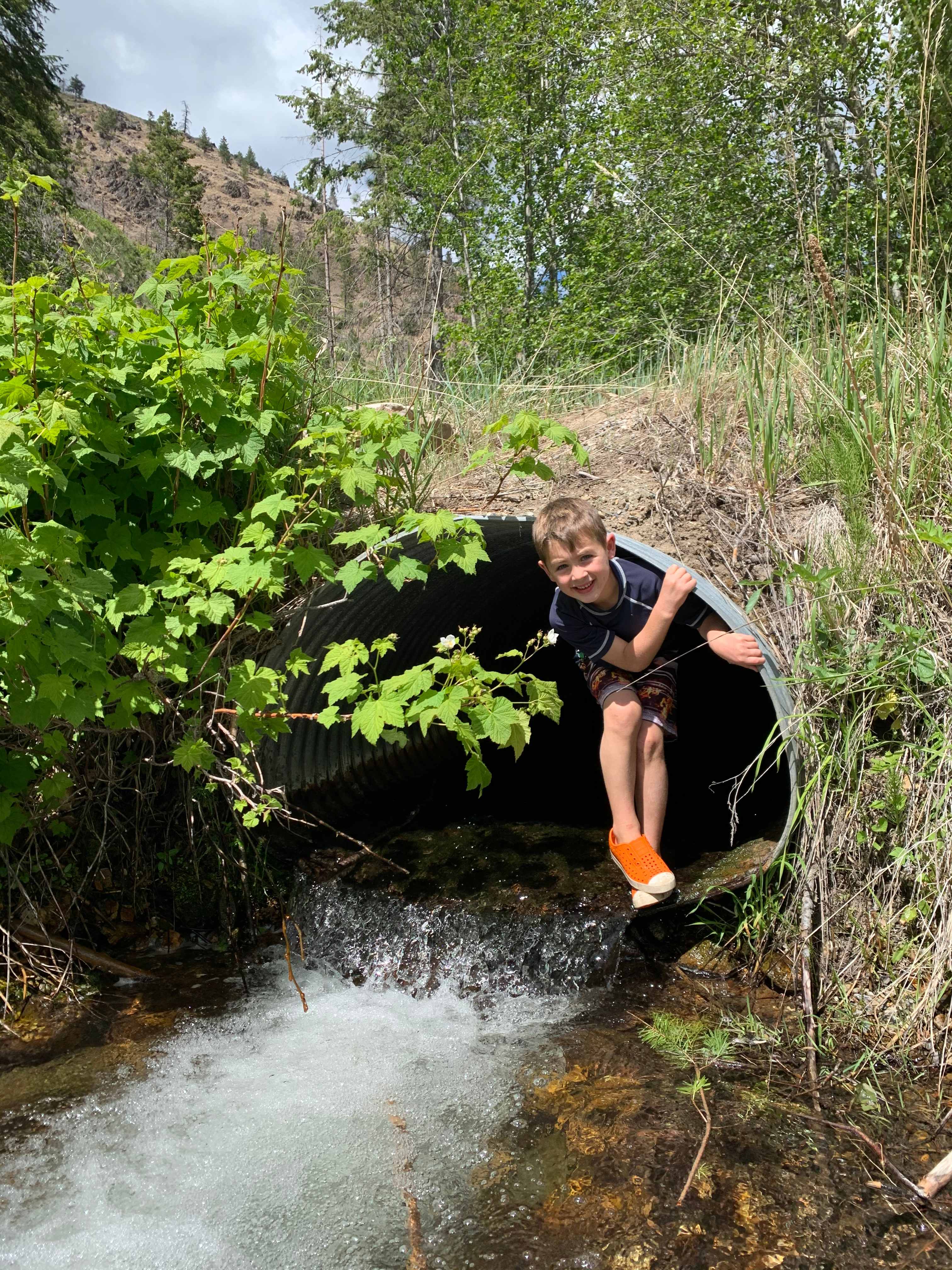 Playing in the creek