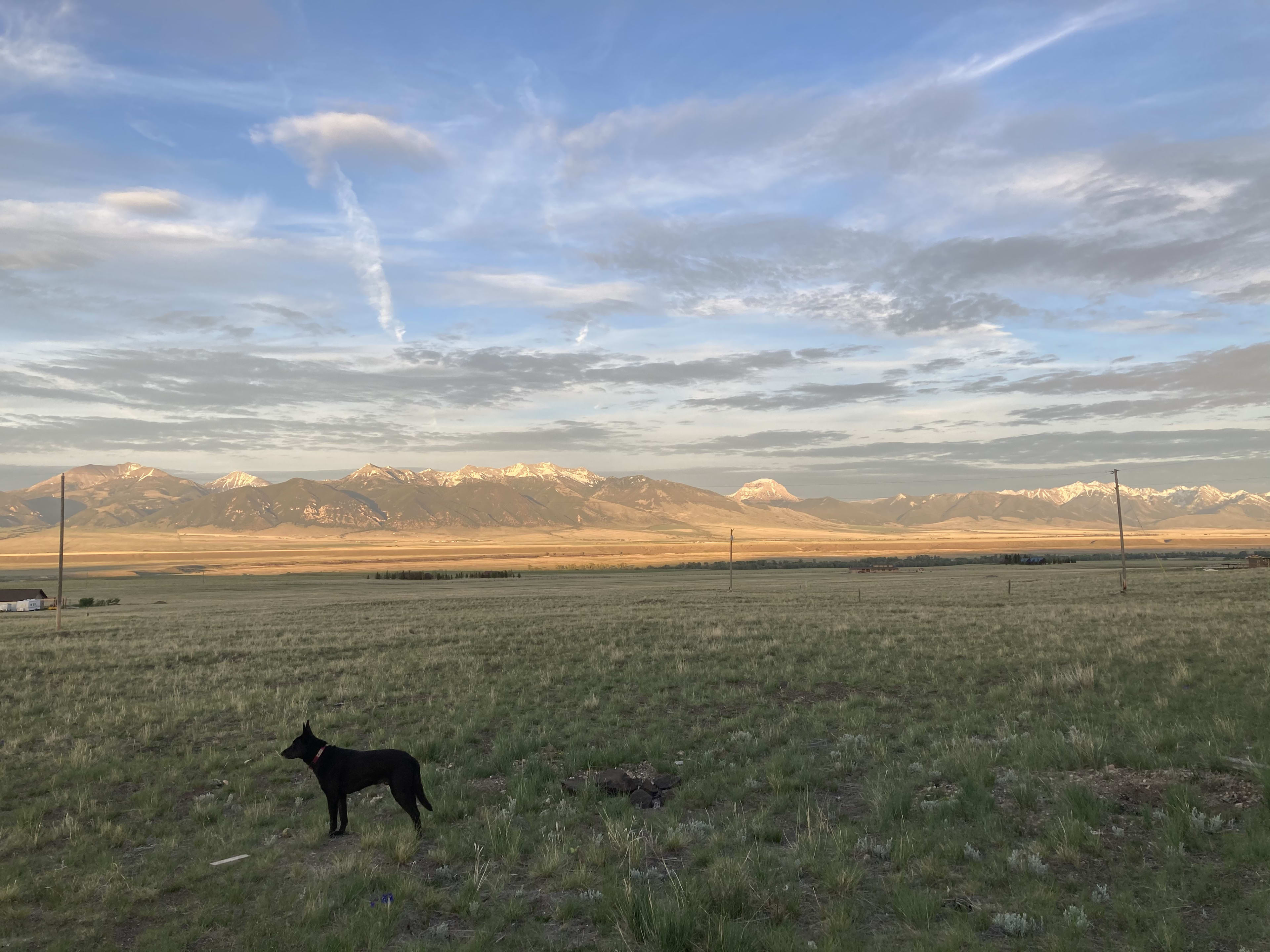 Views from the property. Madison range.