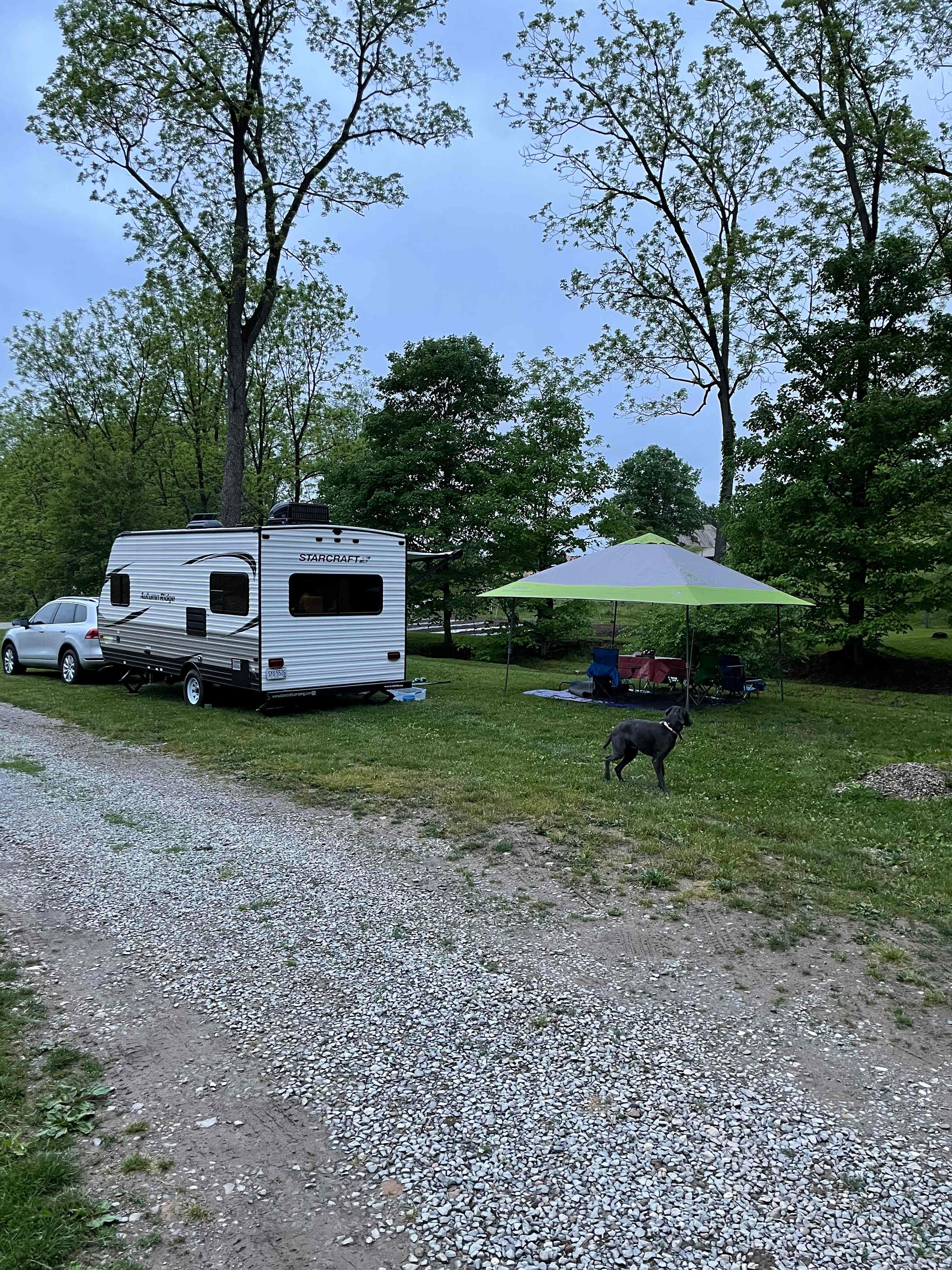 Camping next to the creek