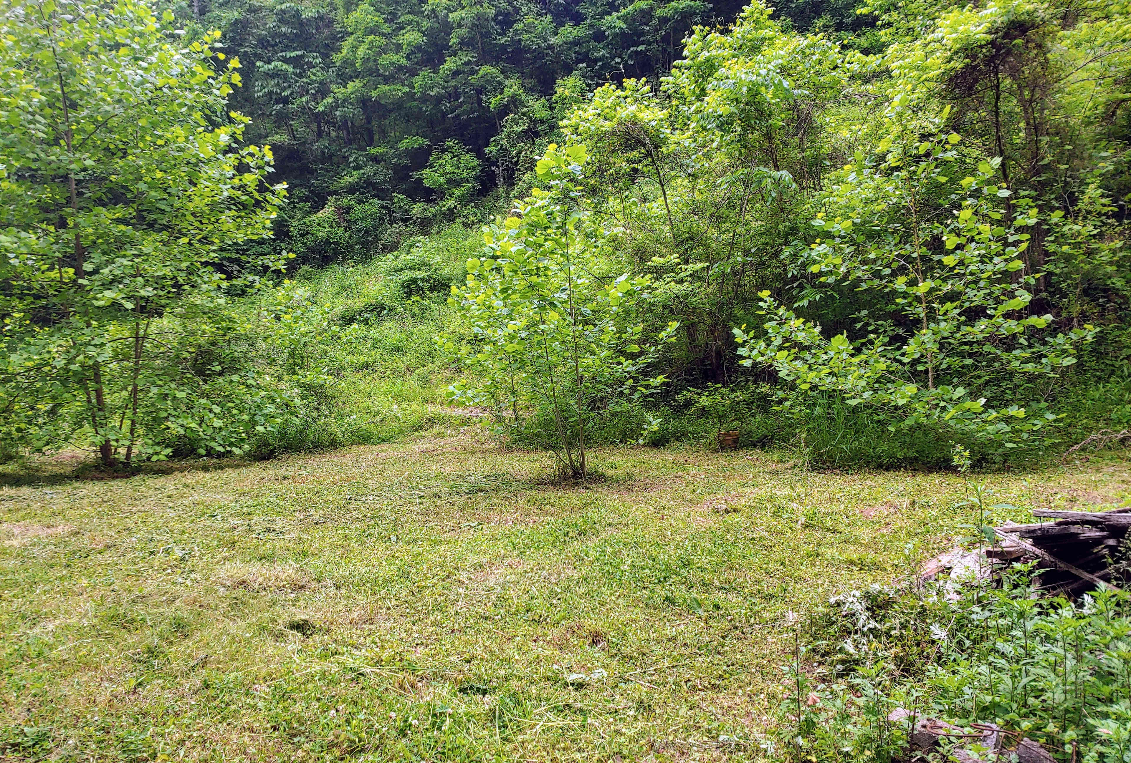 5 Leaf Farm