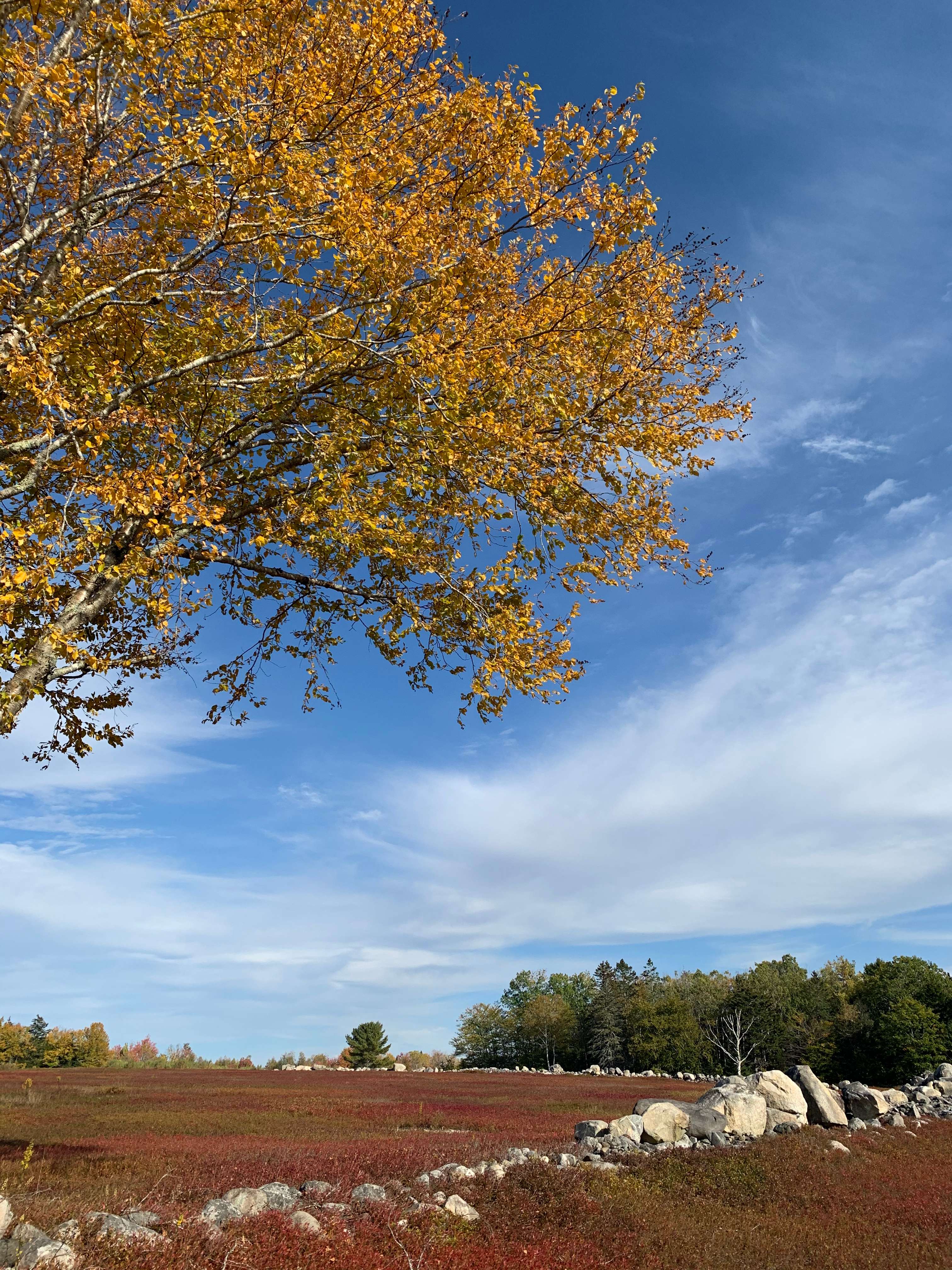 Second parking site 2 at peak fall foliage (Oct)