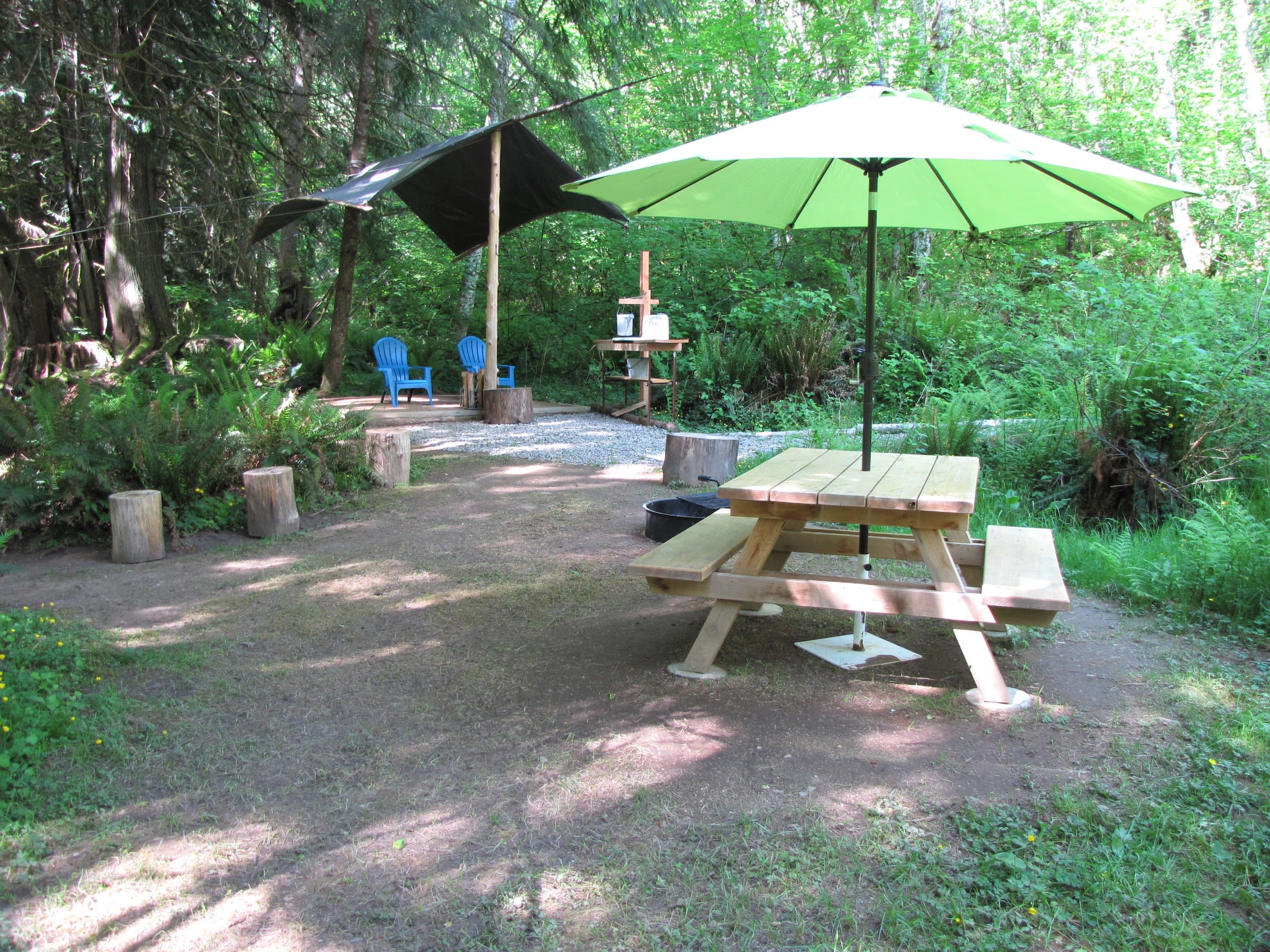 Cedar Grove Camp near Mt. Rainier