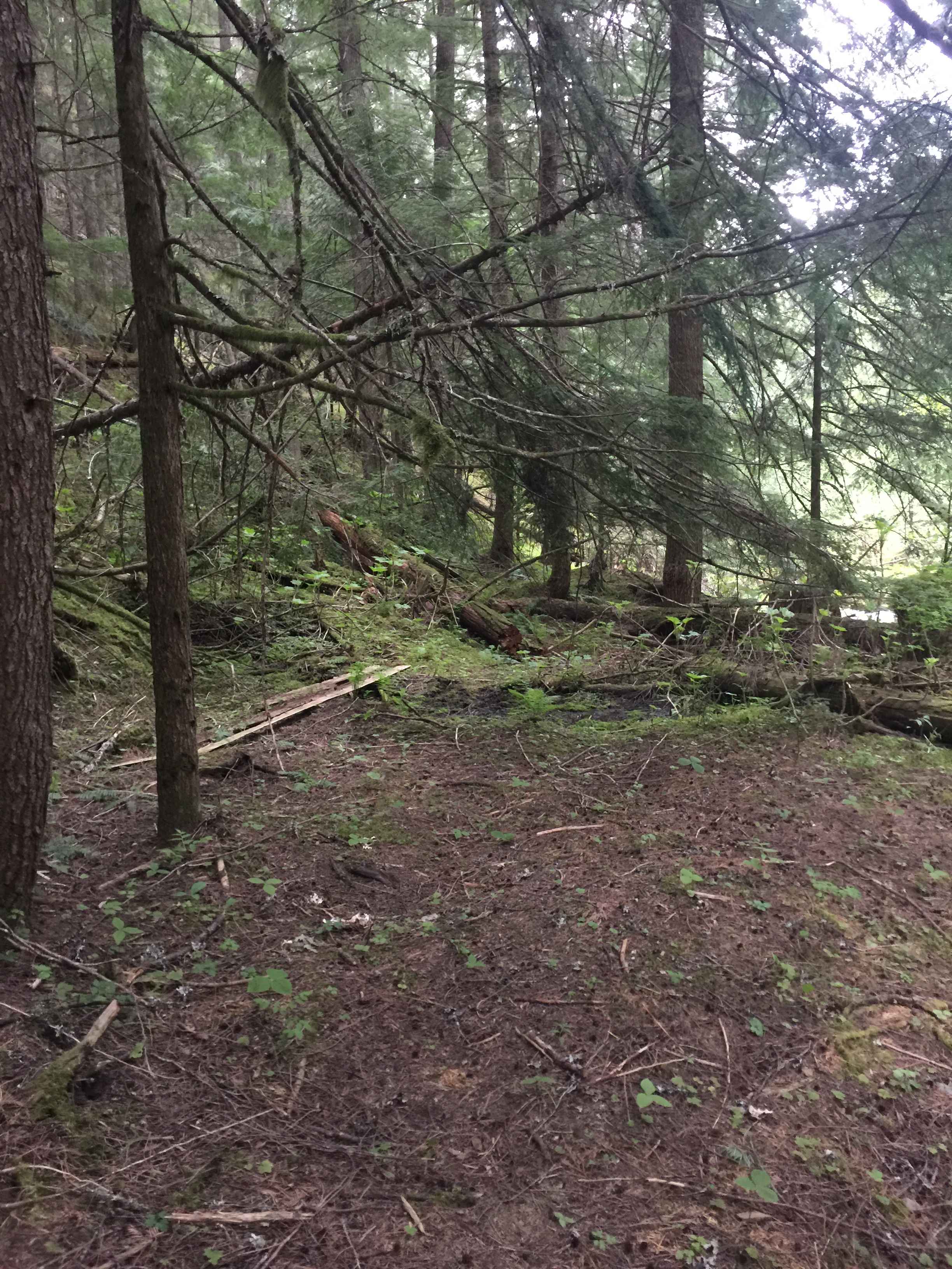 Discover the 30 best campgrounds near Sandpoint, Idaho