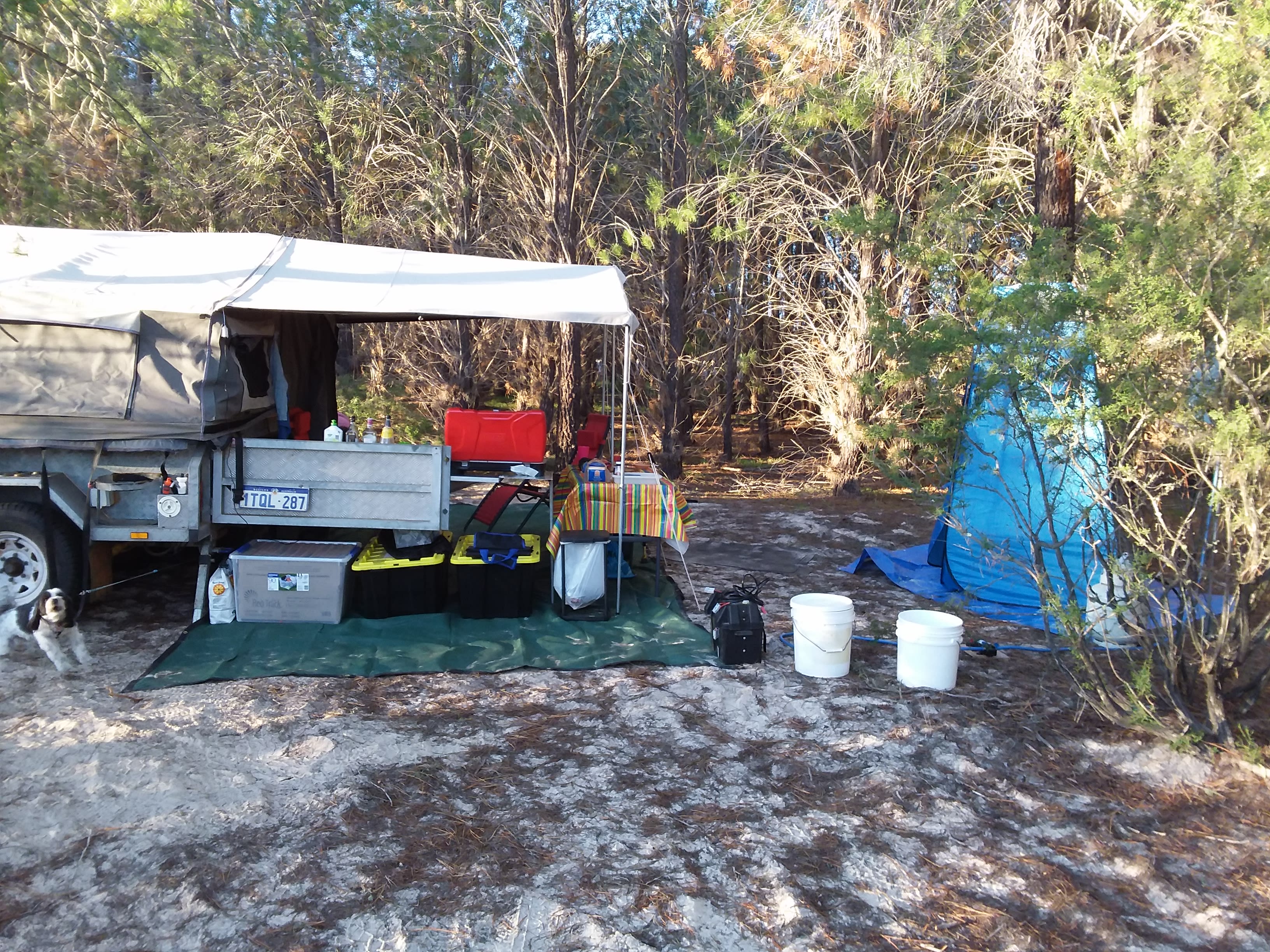 Frogmouth Forest Camp