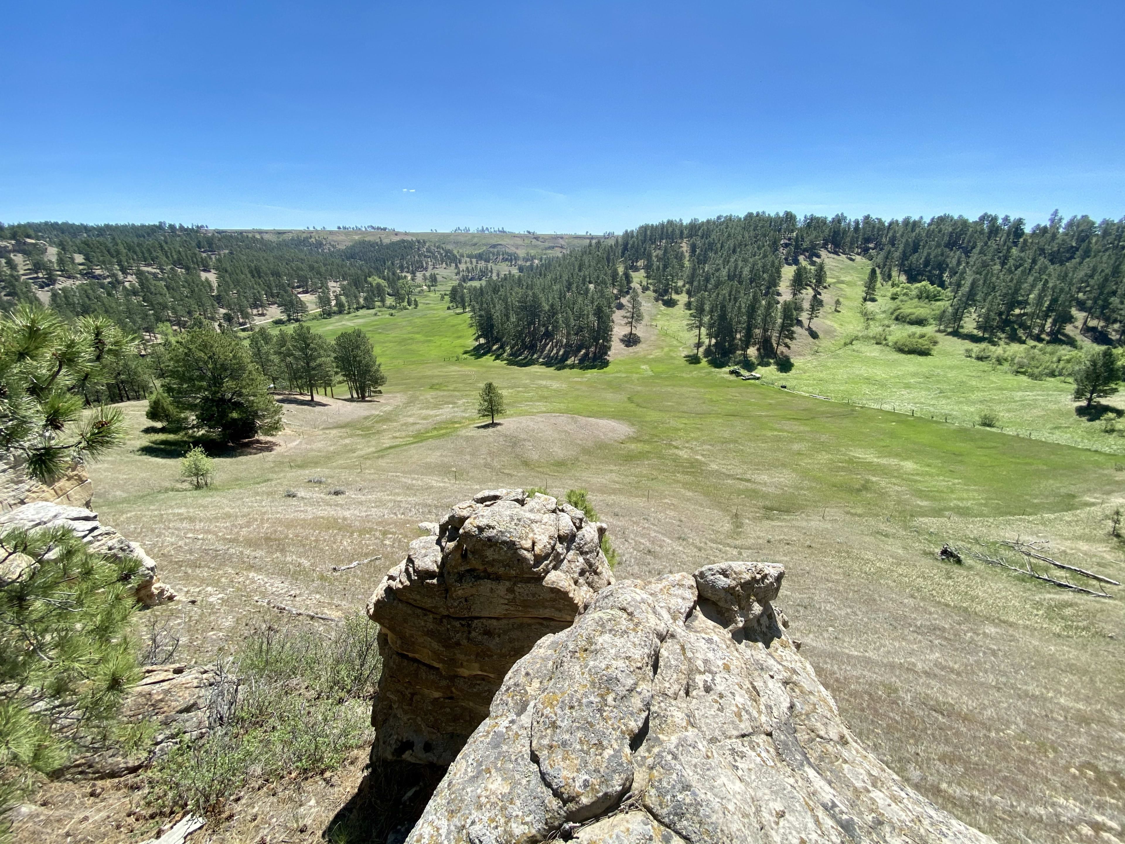 Secluded Land 80 acres Devils Tower