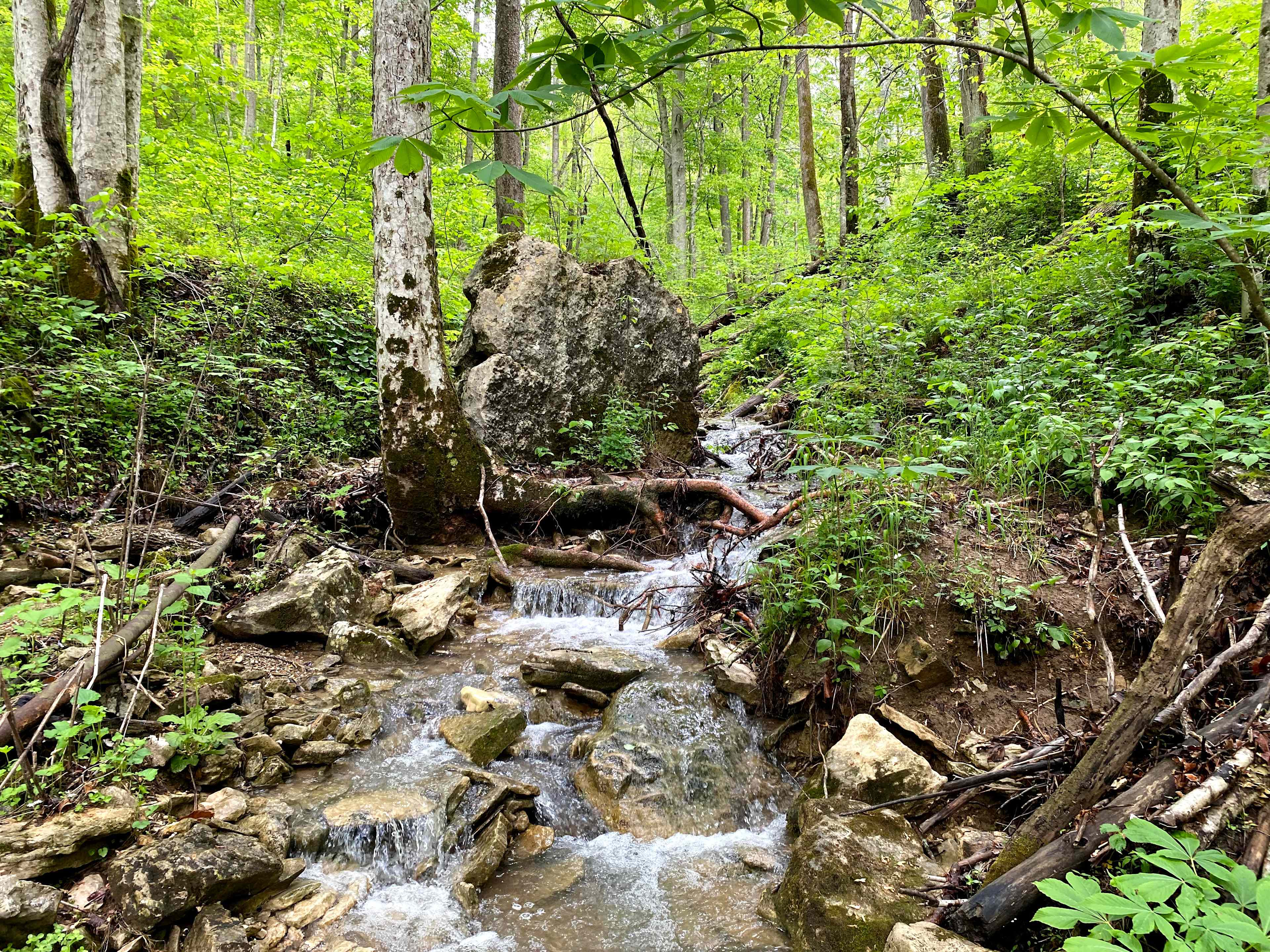 Short walk to trails beside the waterfall