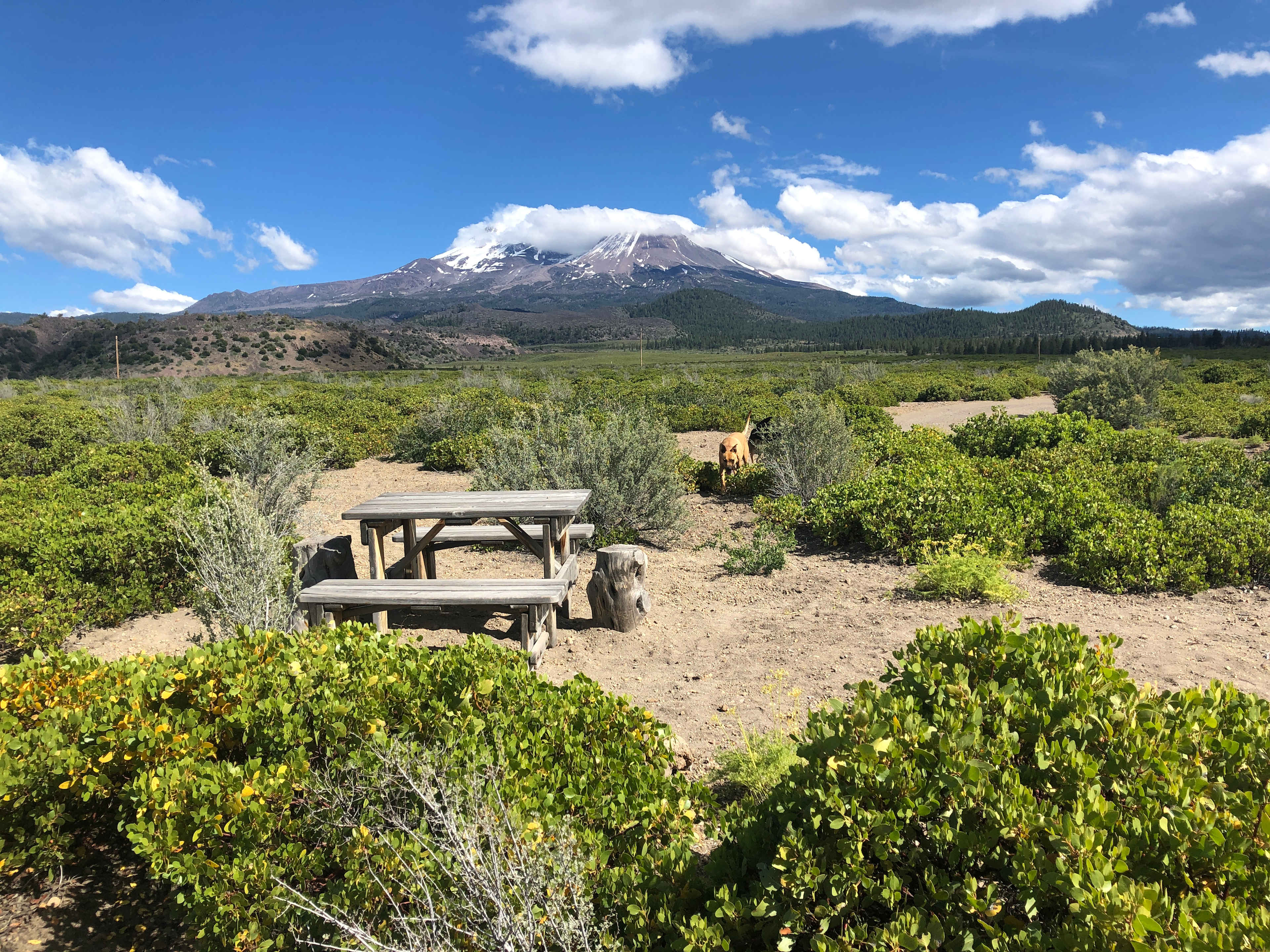 Campsite #2  Full drive through turn around. 