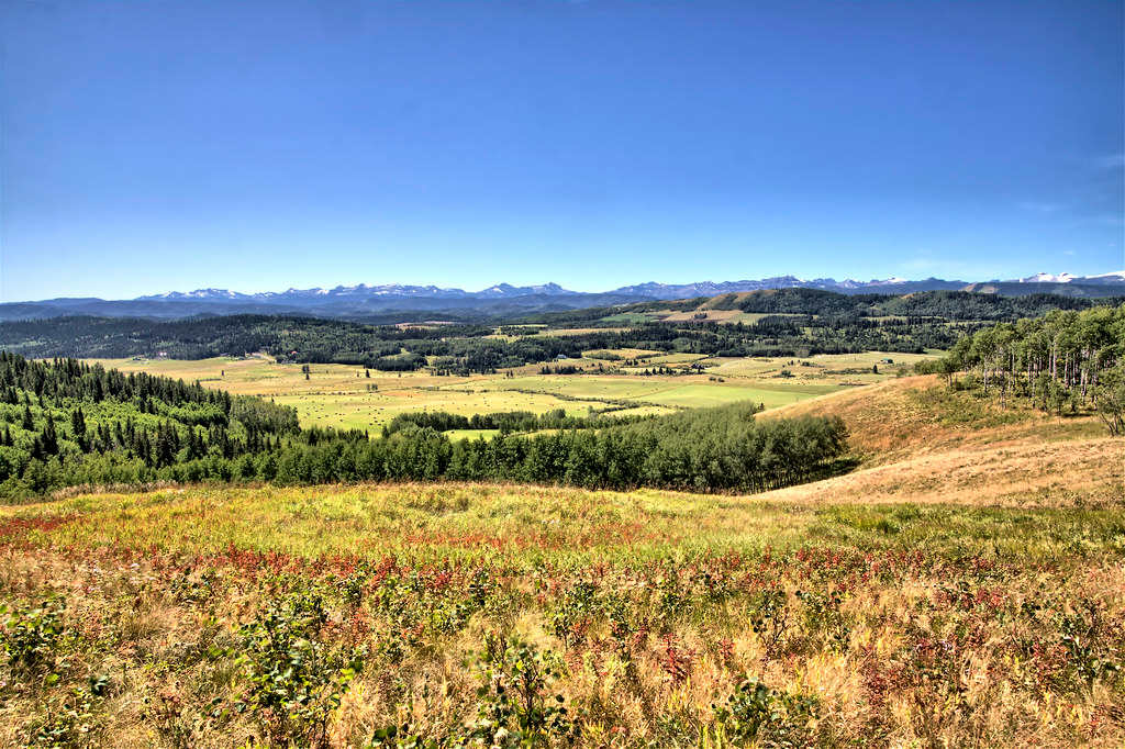 Brown-Lowery Provincial Park