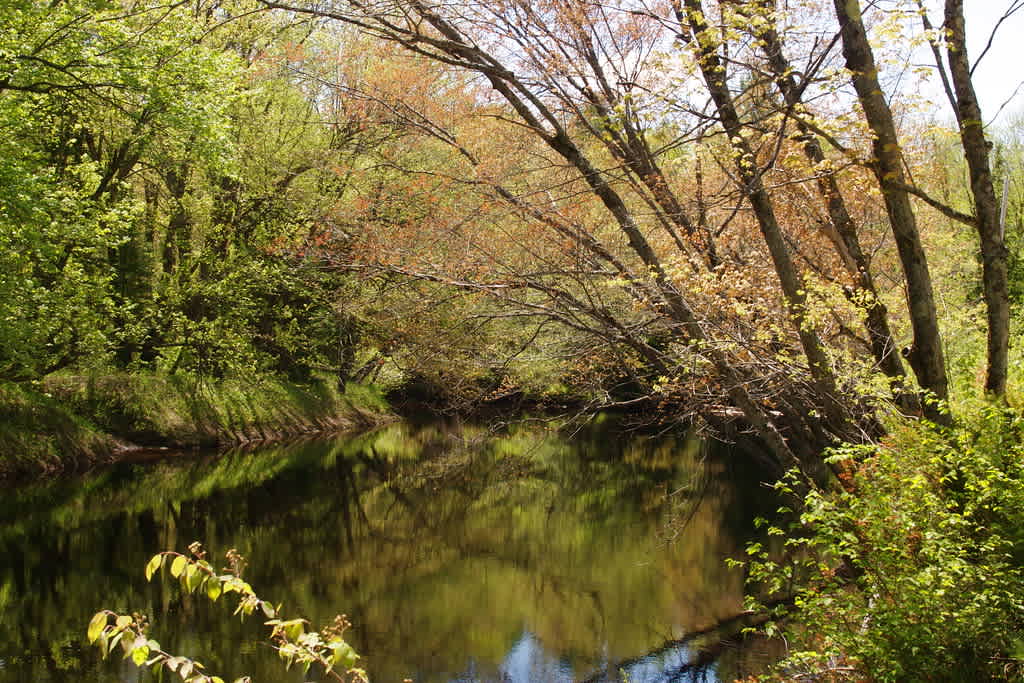 Queen Elizabeth Provincial Park