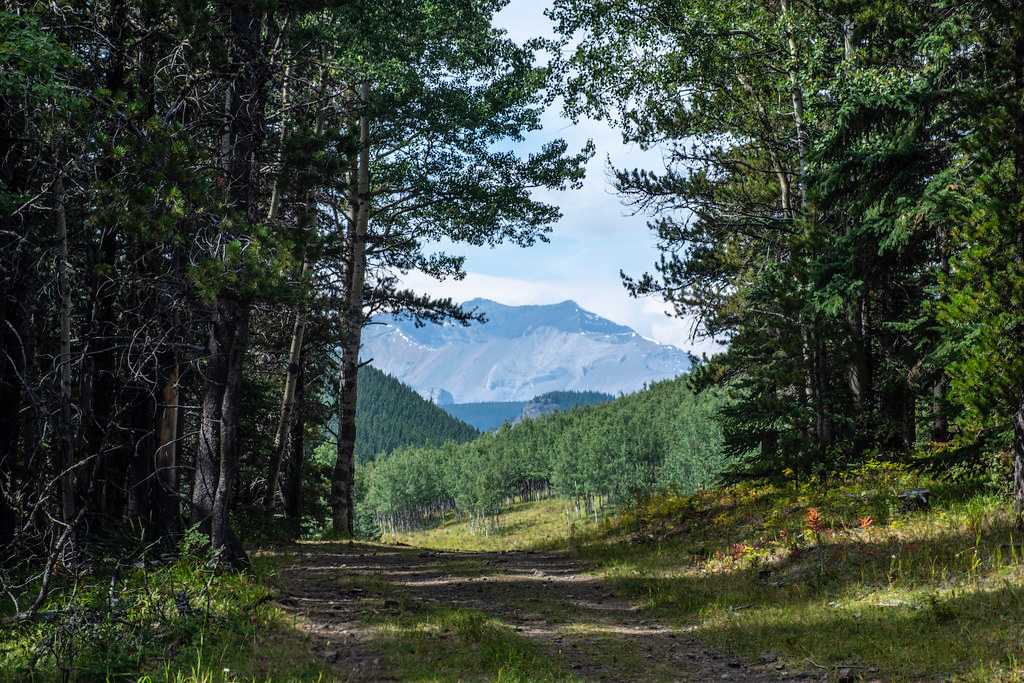 Sheep River Provincial Park