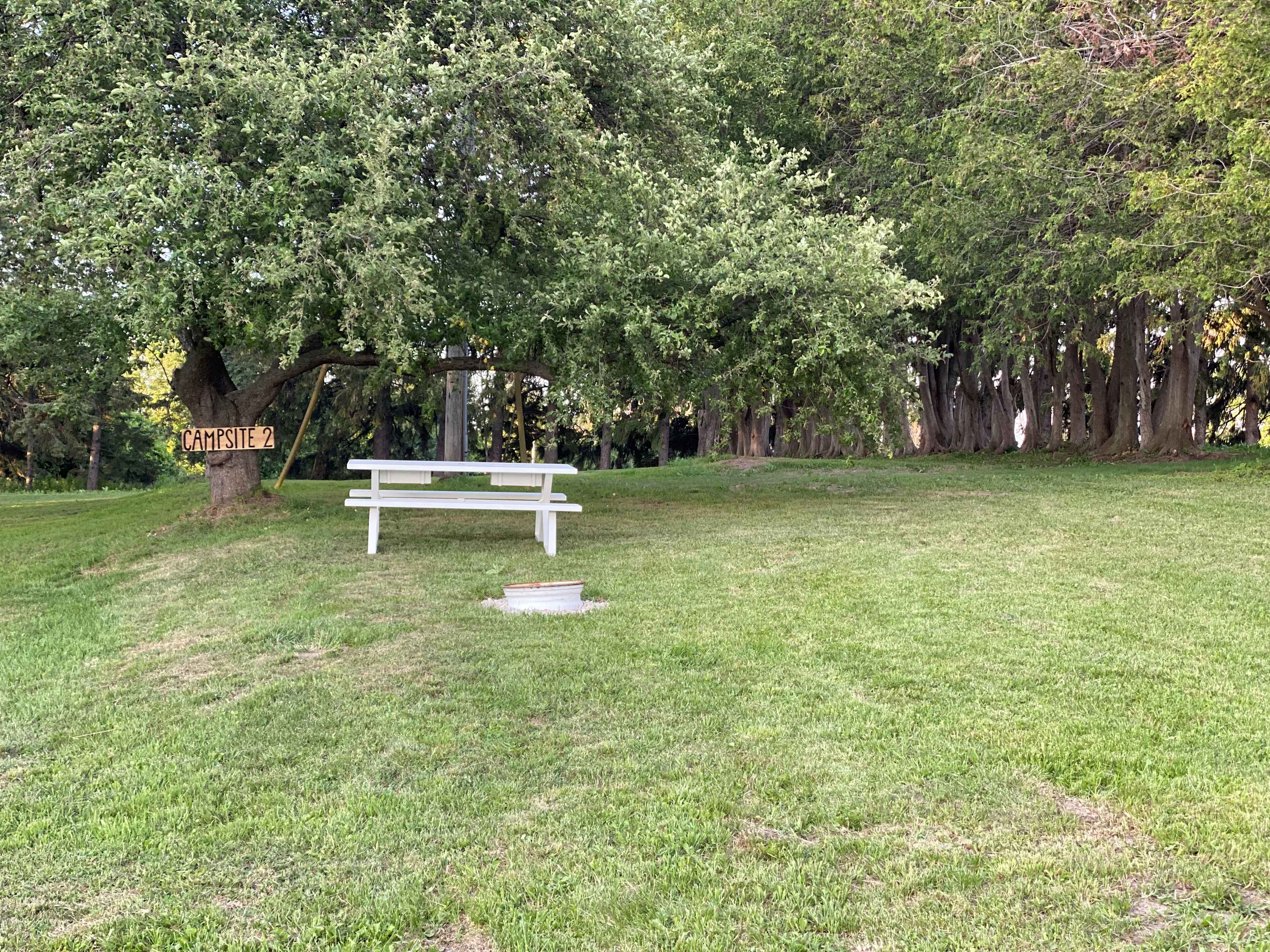 Orchard: Campsite 2