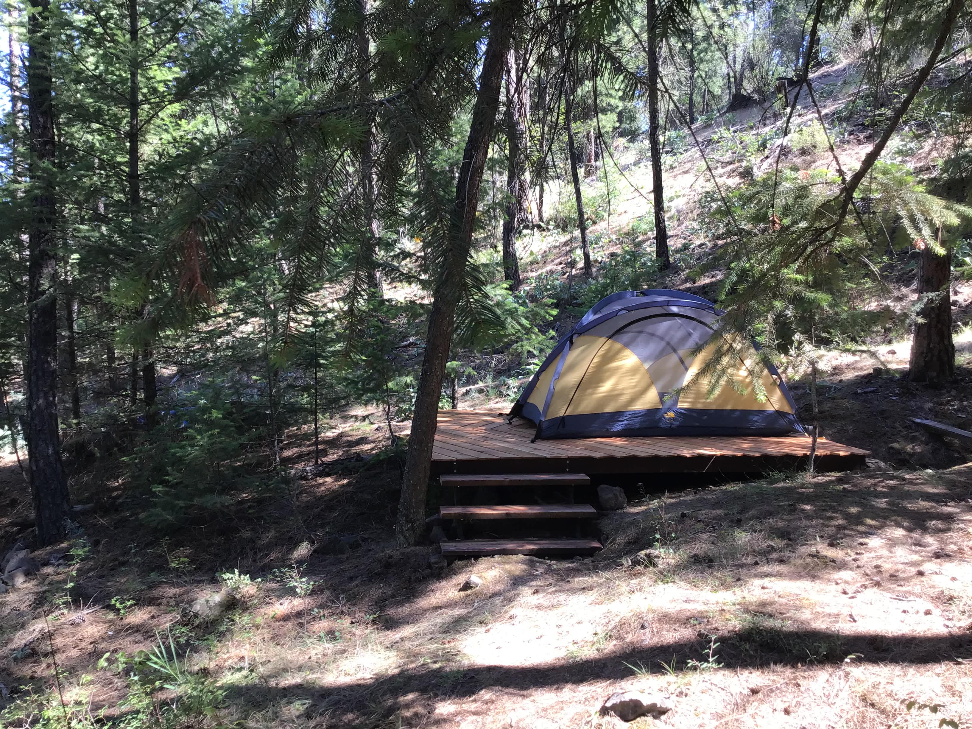 SPOKANE CAMPING In The Forest