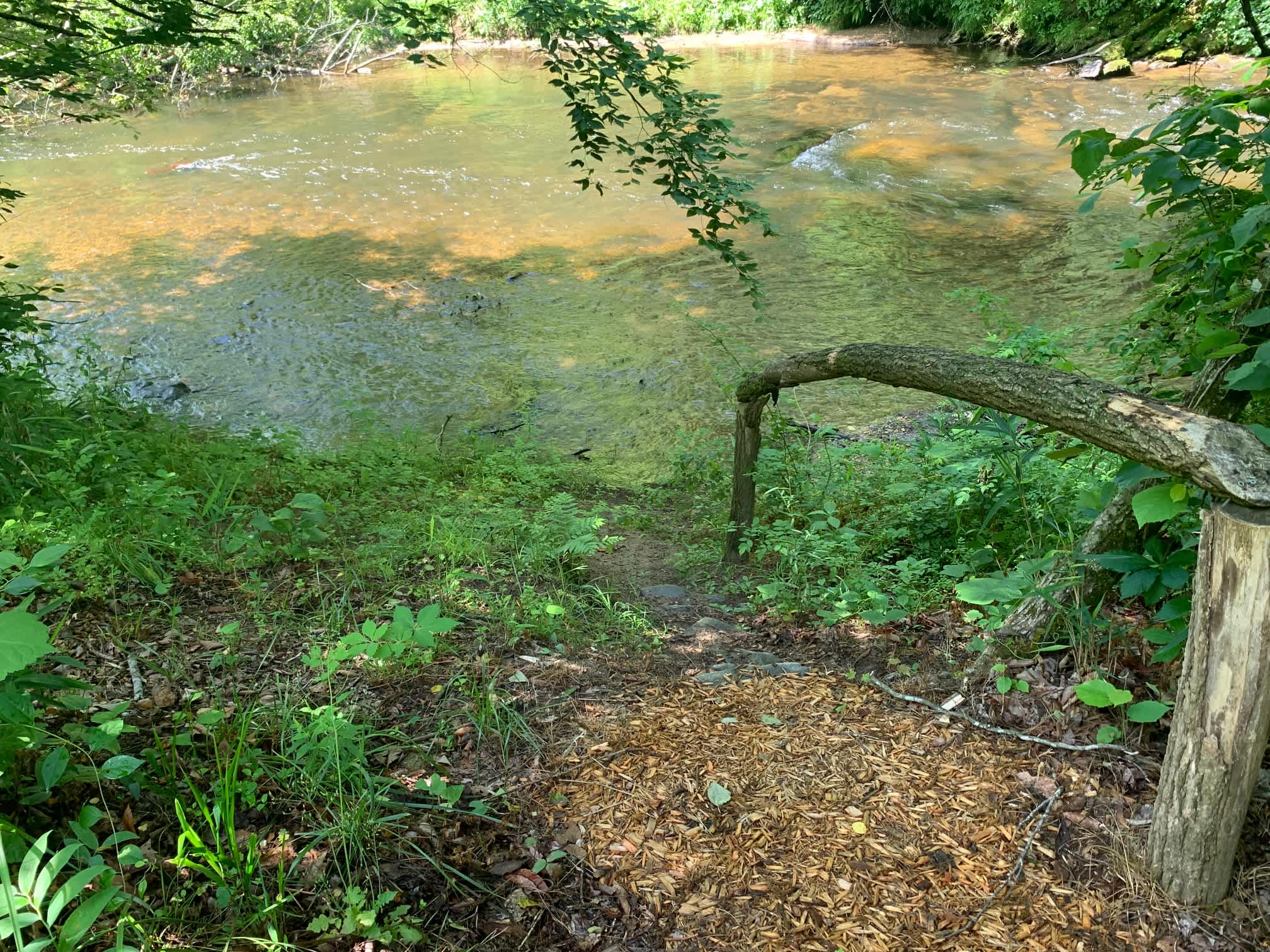 Site #1 - Entrance to the river