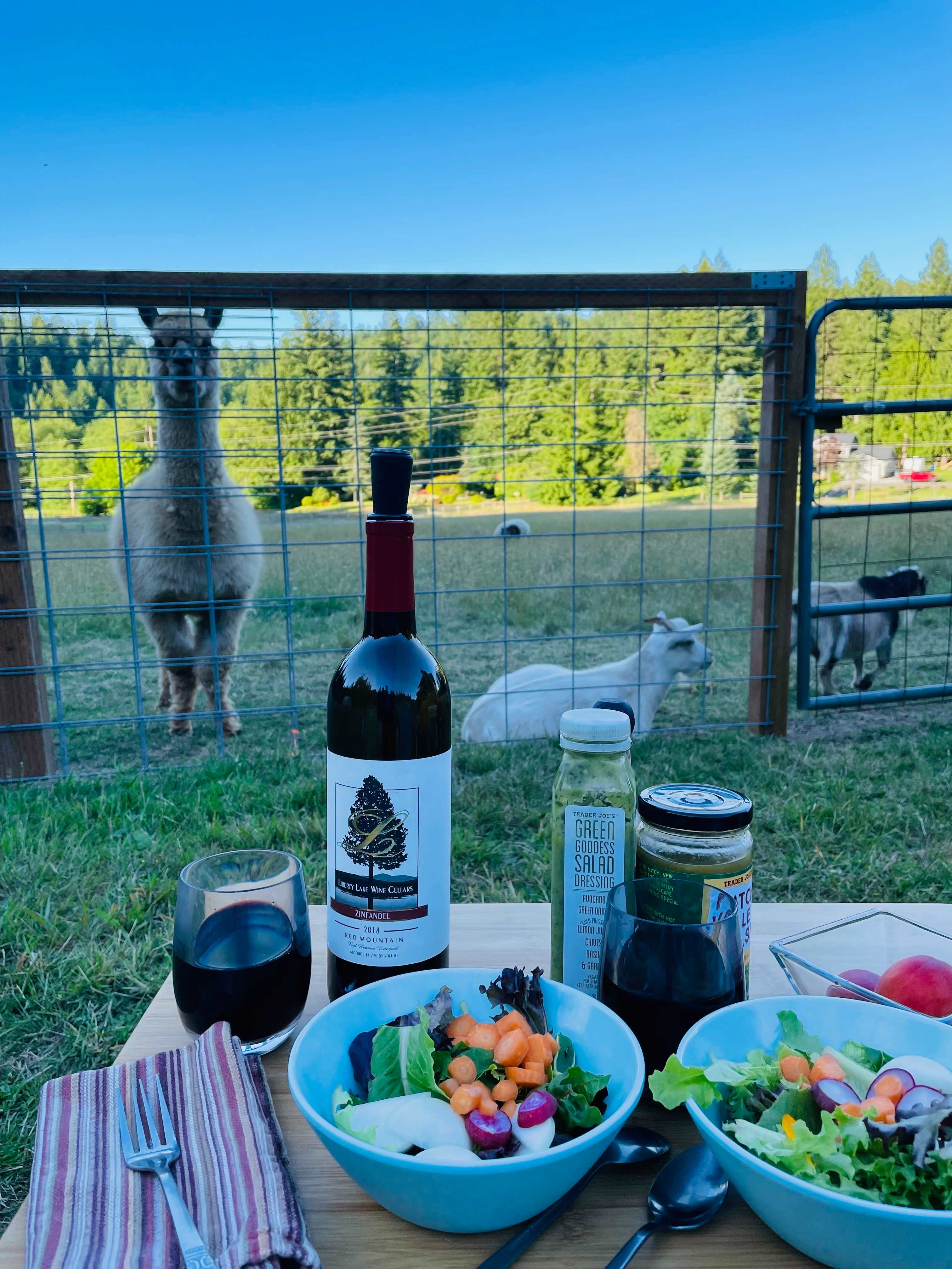 Plenty of fun company