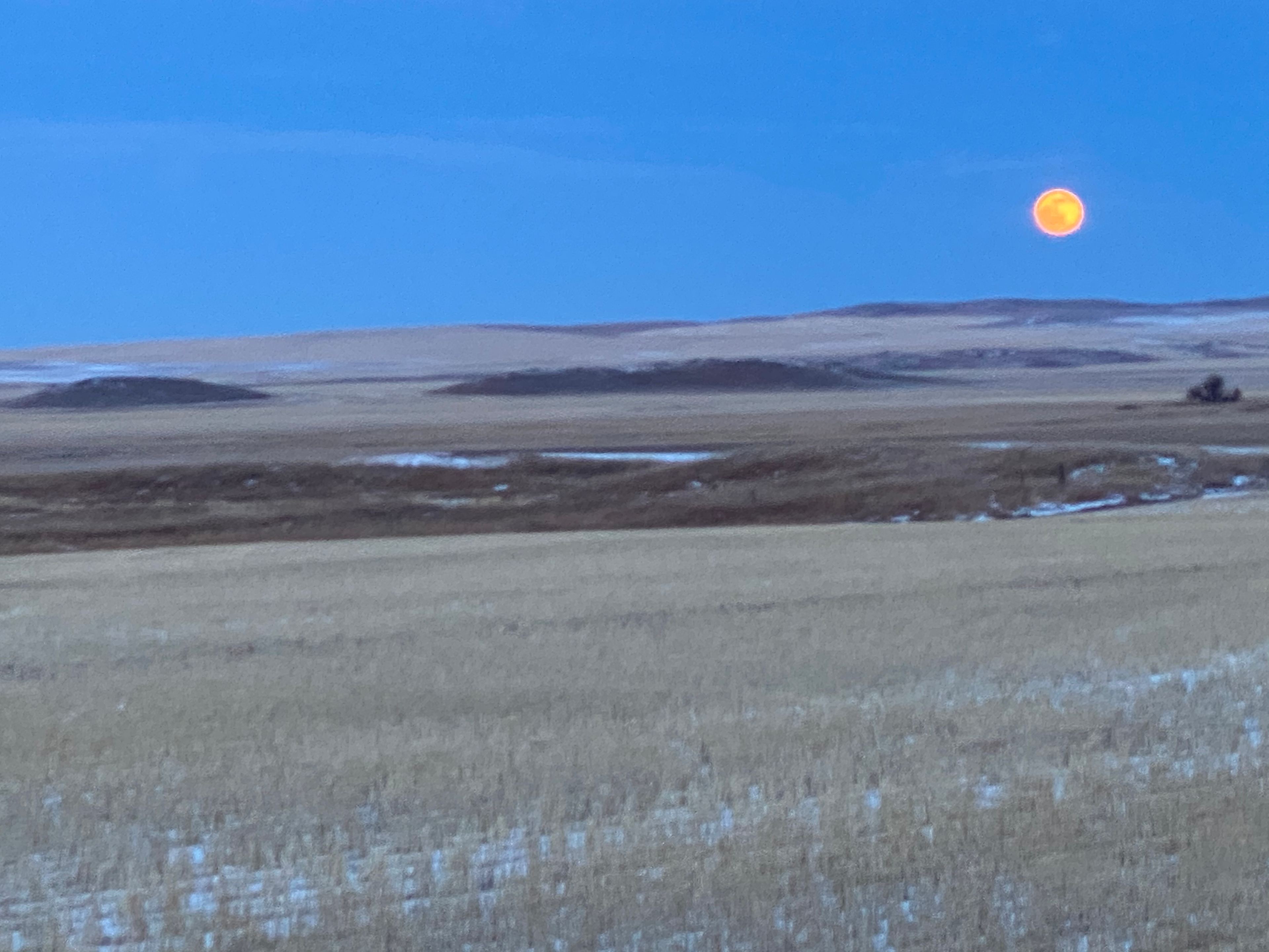 Discover the 15 best campgrounds near Grenora, North Dakota