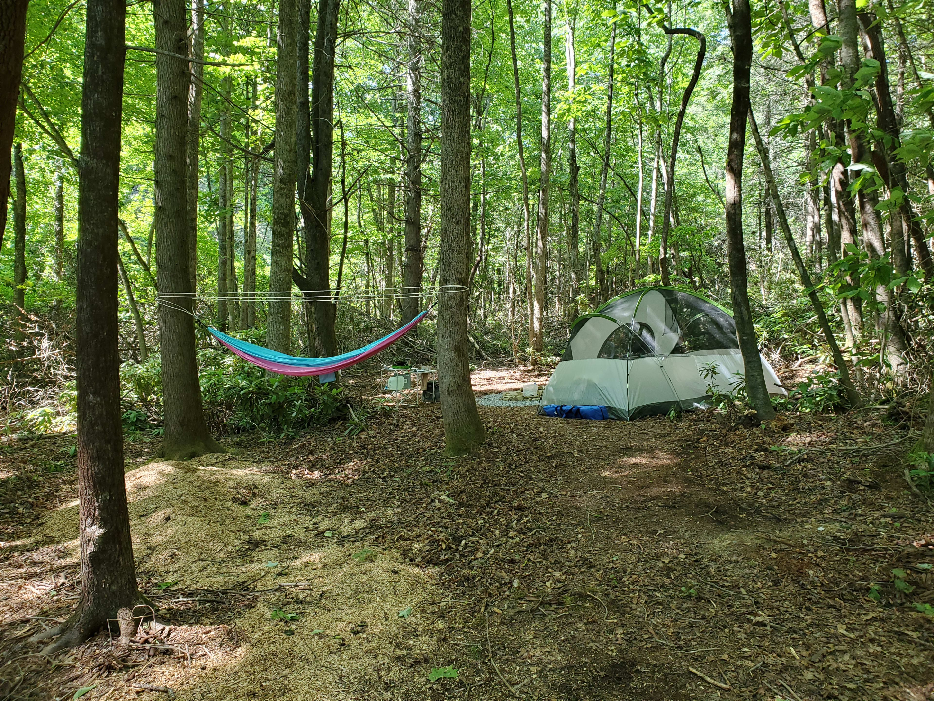 Bring your own tent and camp near the creek and fire pit. The sites are quiet, shady and wooded.