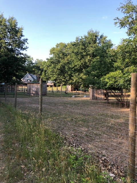 this is the view from. just behind the rear pasture fence. Campsite #1 is just beyond this area and has a view of the mini equine. campsite #1 is lightly wooded and has a fire pit, picnic table and a propane grill