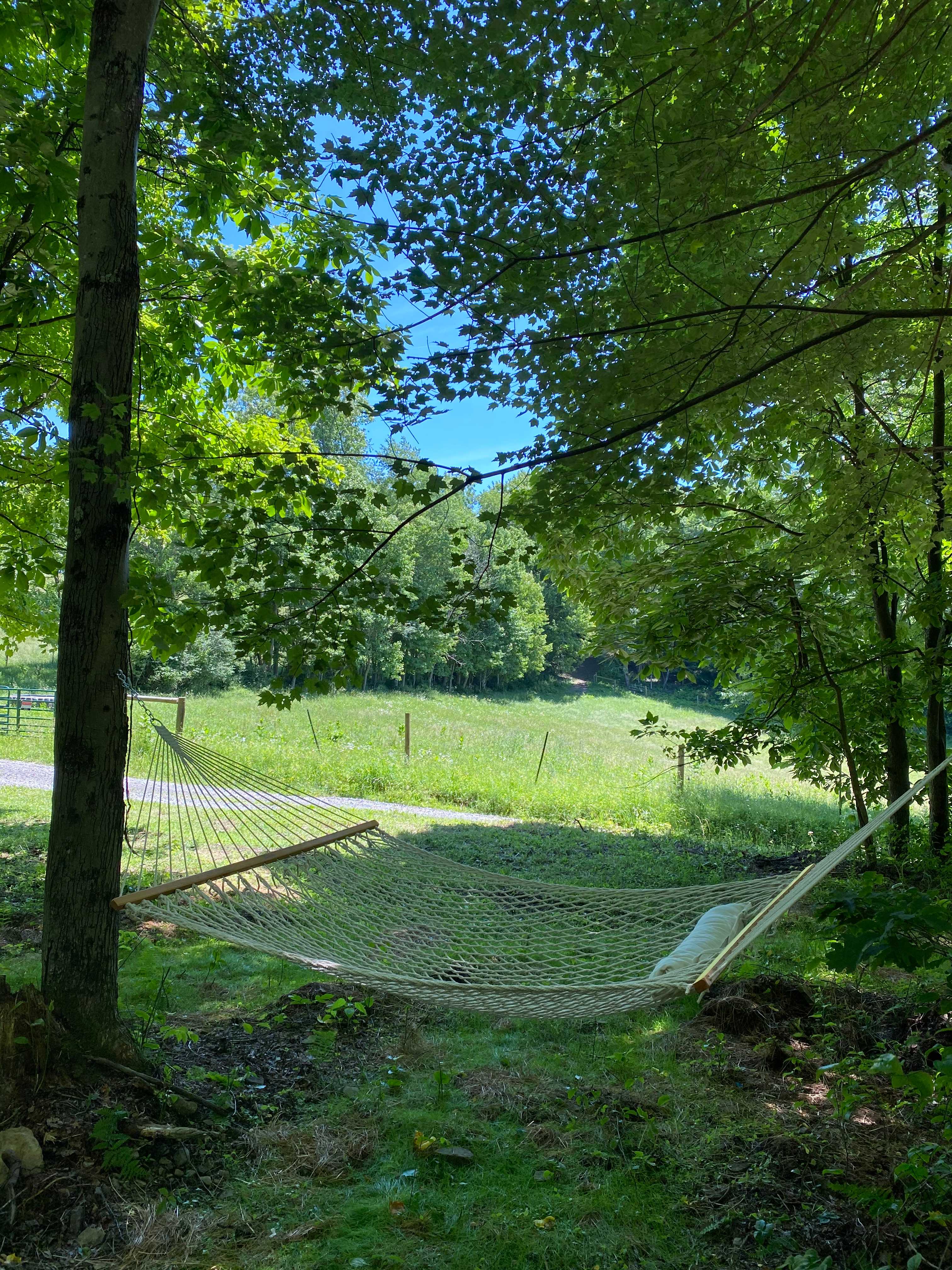 The hammock is waiting for you! 