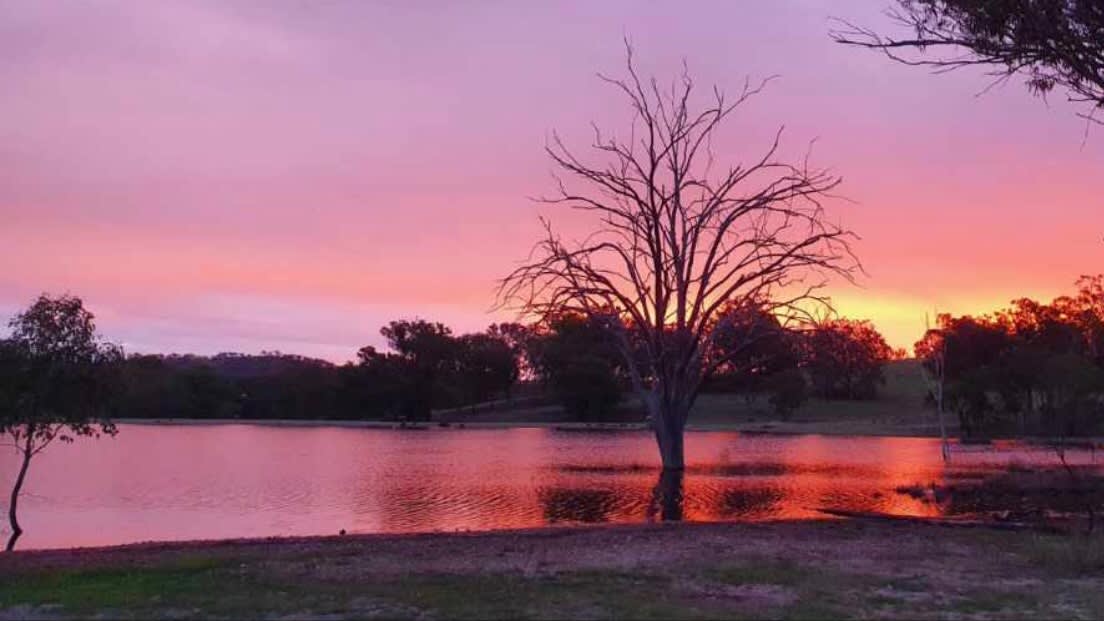 Carbean Camping & Farmstay