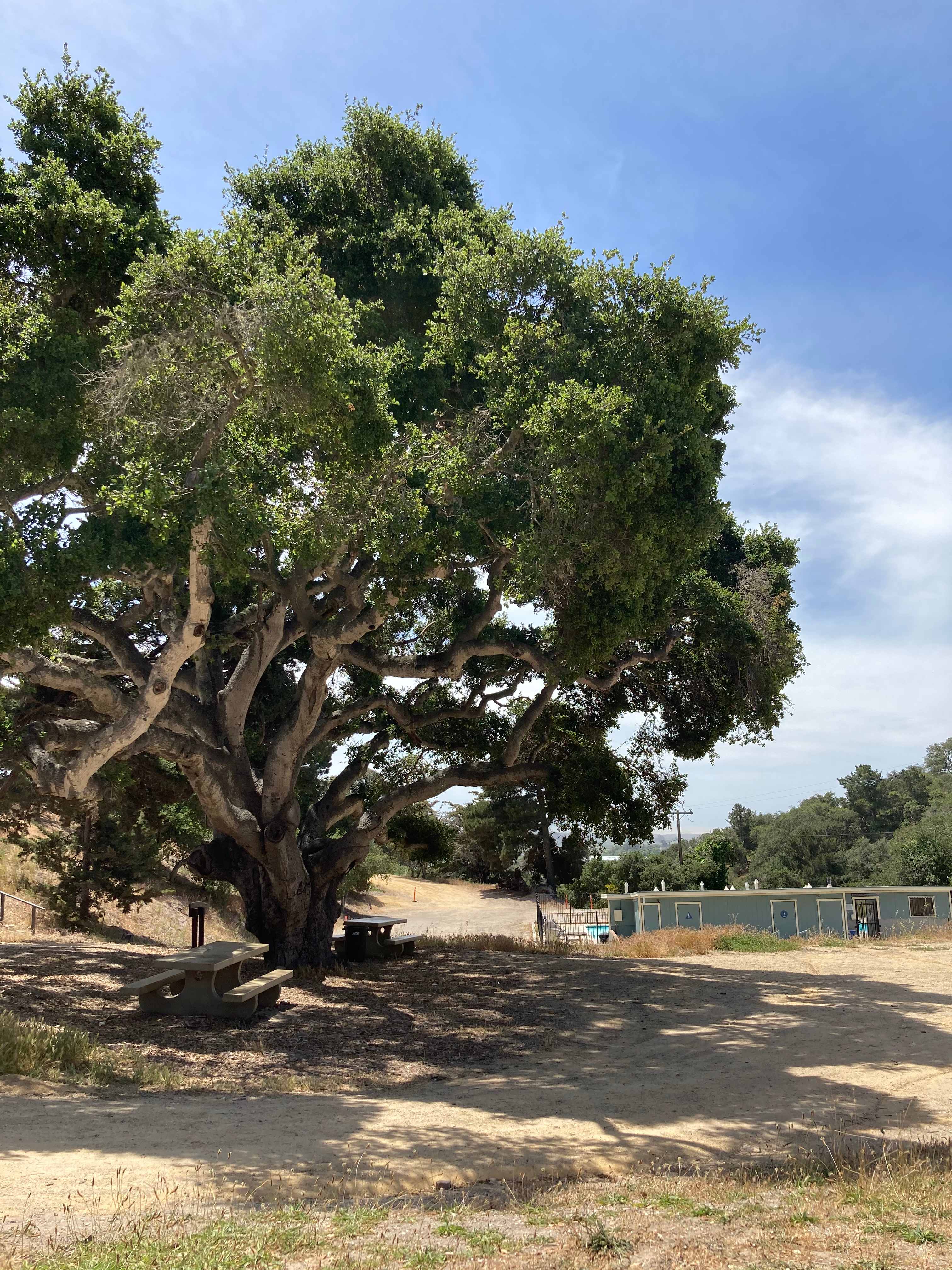Camp Arroyo Grande