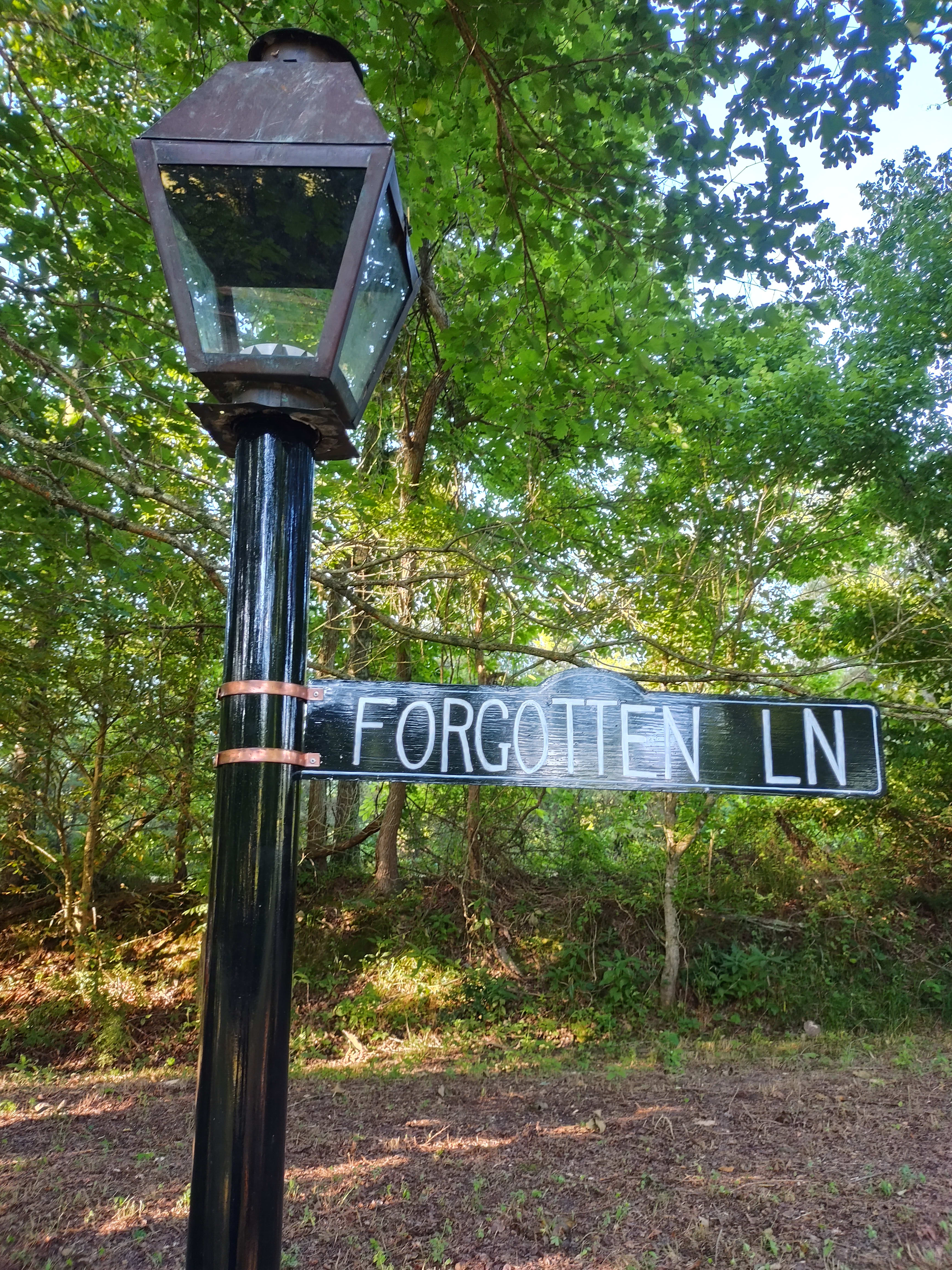 Forgotten Lane Campsite