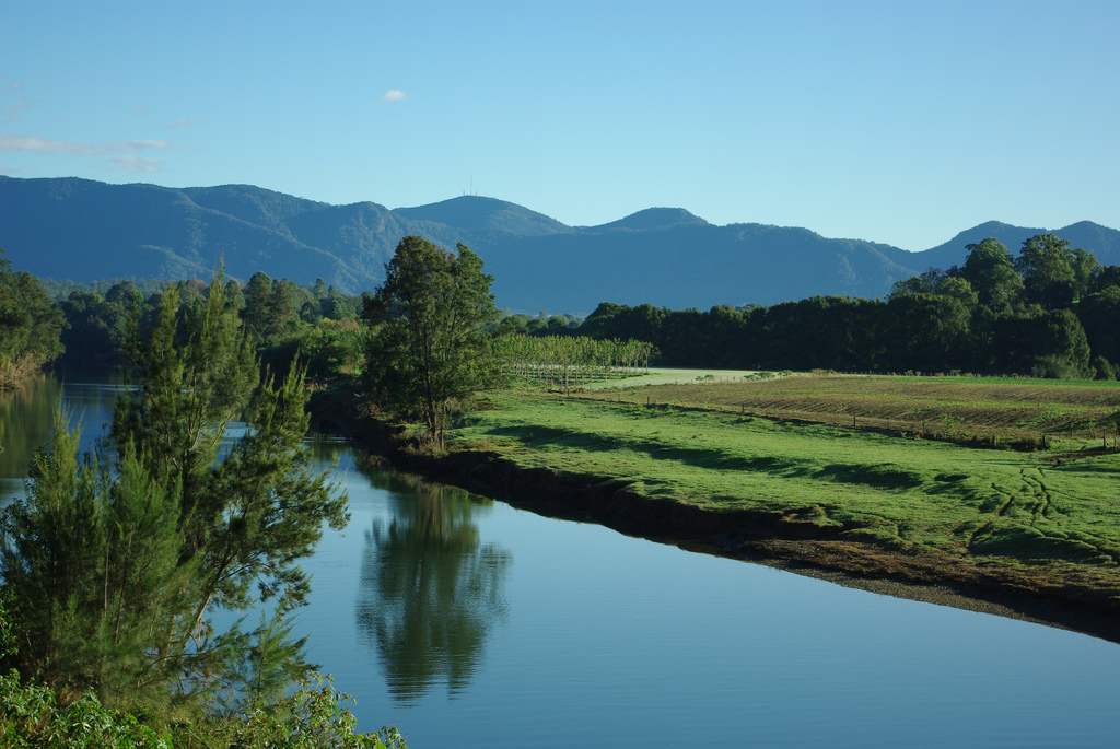 Bellinger River National Park