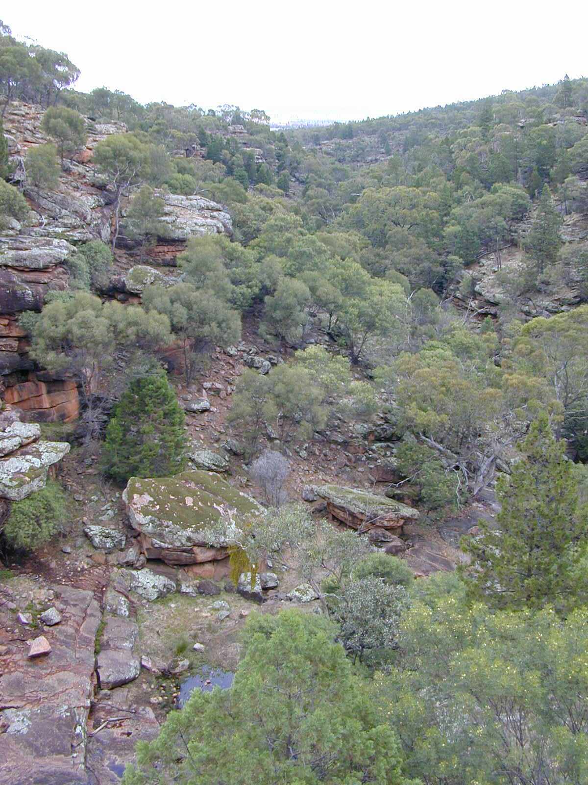 Cocoparra National Park