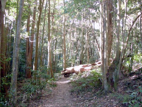 Macquarie Pass National Park