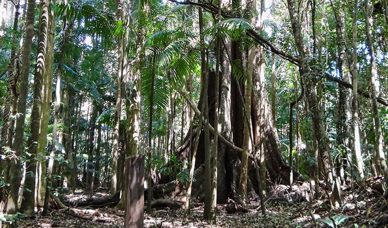 Mebbin National Park