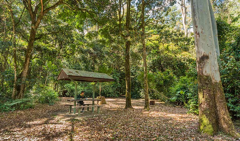 Tooloom National Park