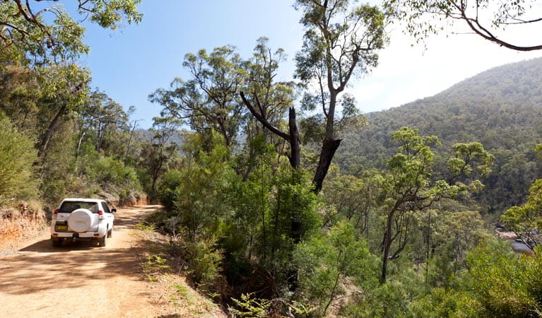 Wadbilliga National Park