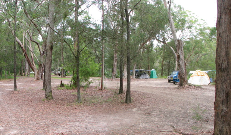Wallingat National Park