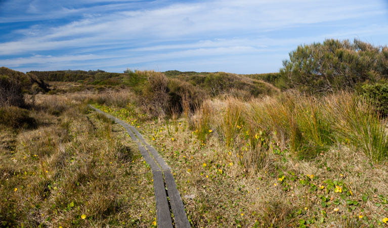 Murramarang Aboriginal Area