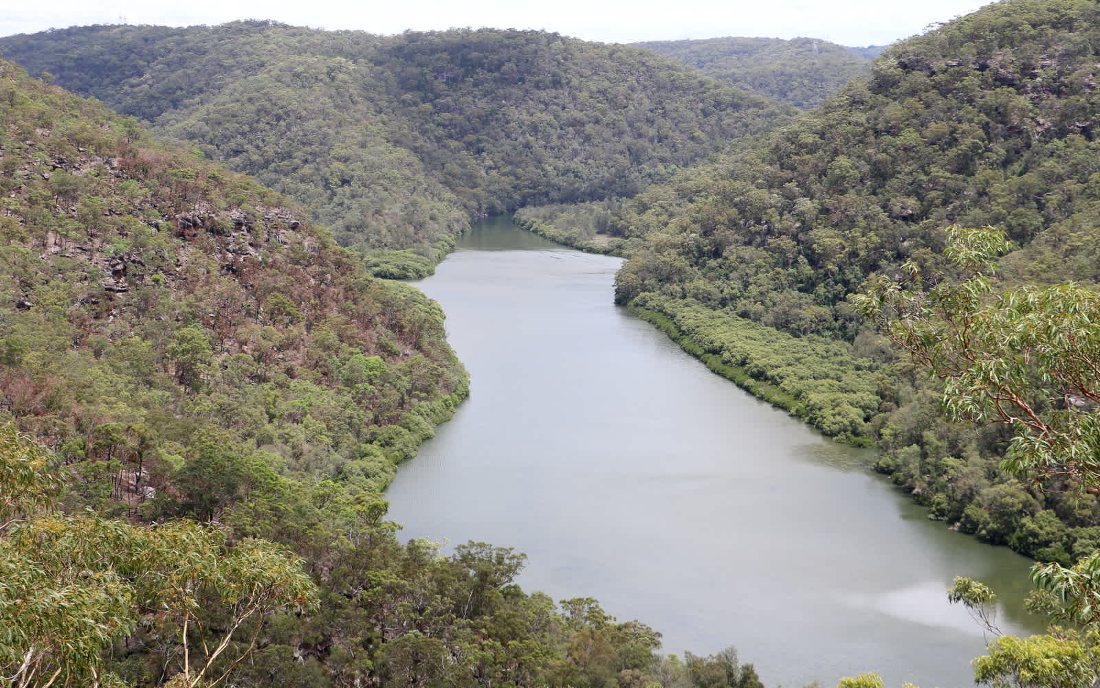Berowra Valley Regional Park