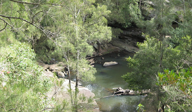 Bomaderry Creek Regional Park