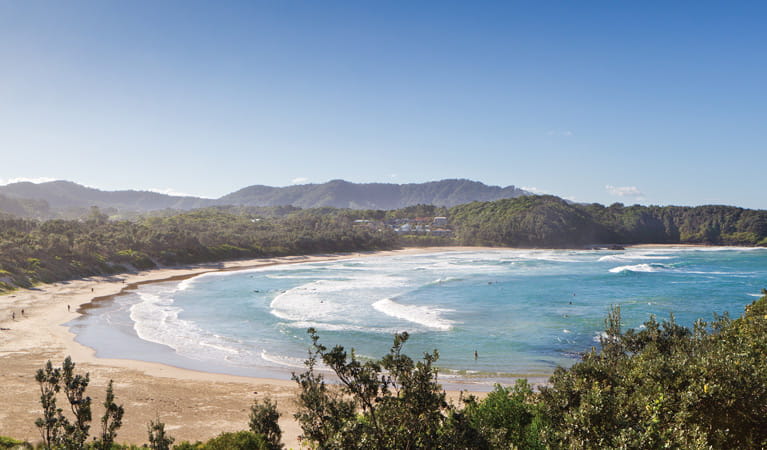 Coffs Coast Regional Park