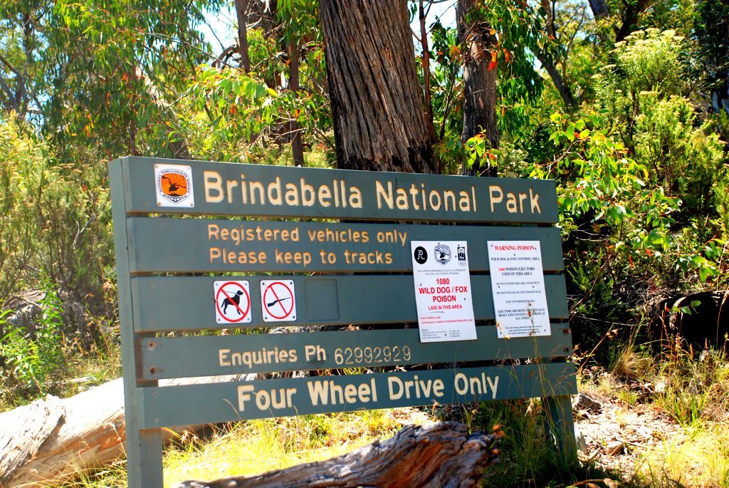 Brindabella State Conservation Area