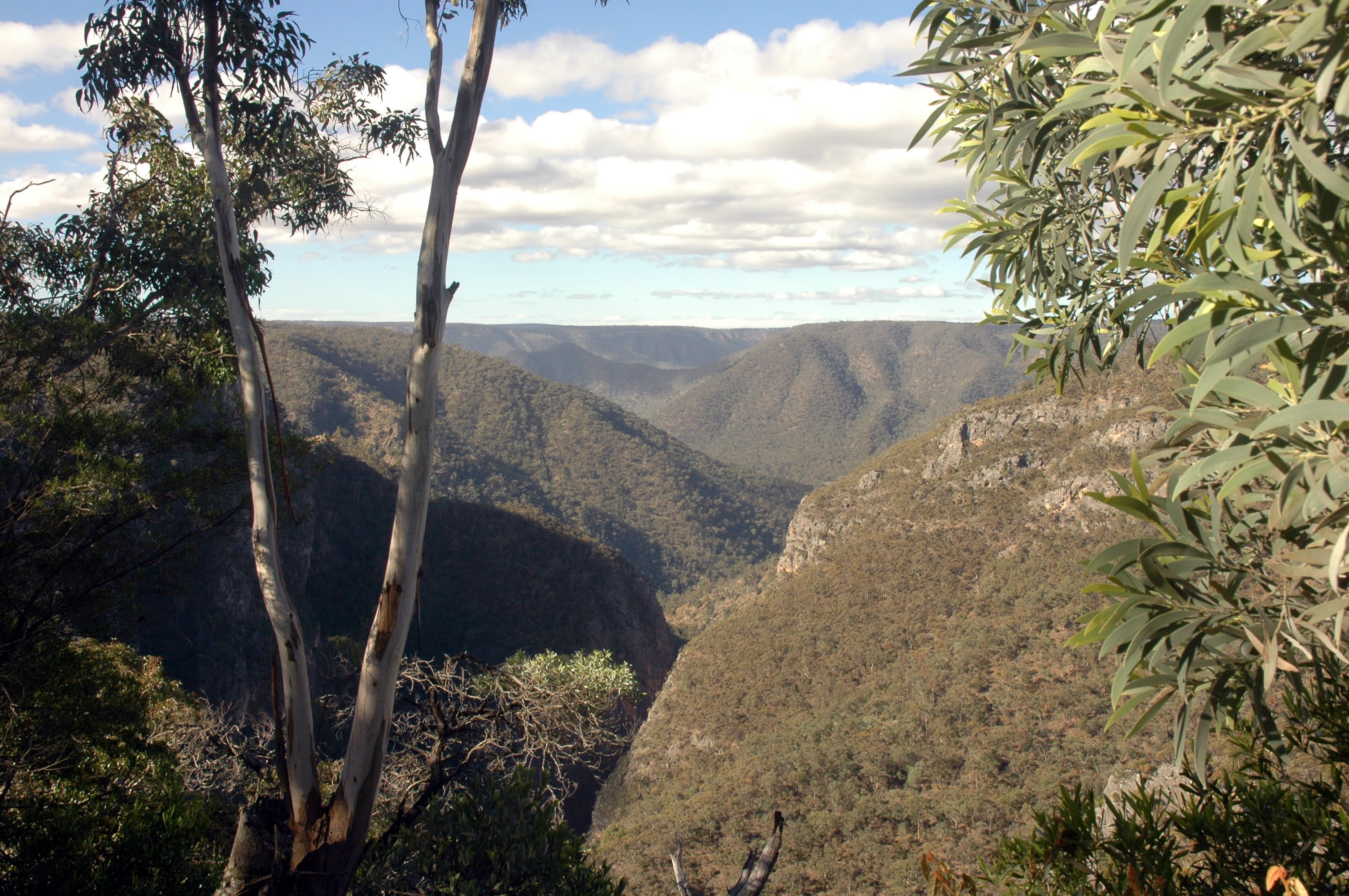 Bungonia State Conservation Area